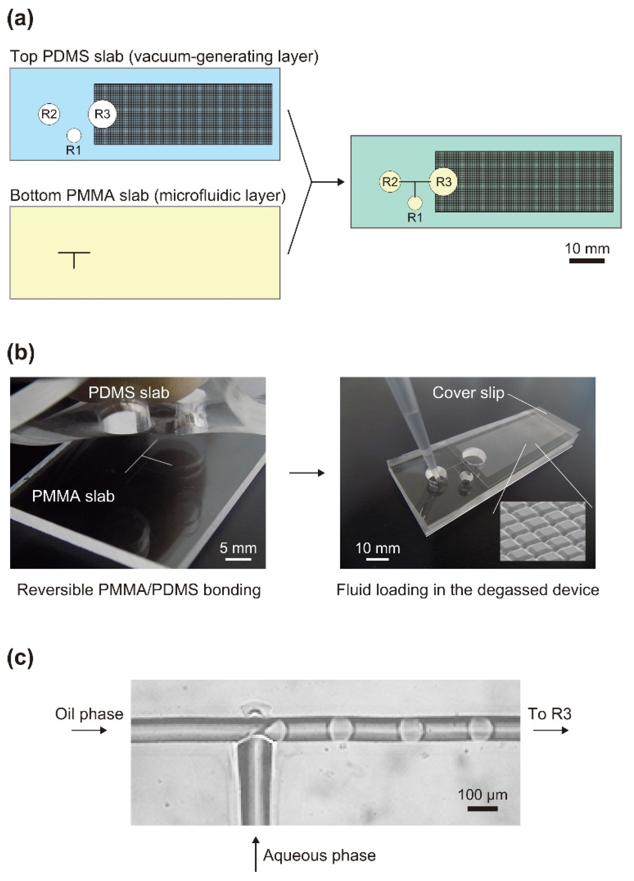 Micromachines 13 01389 g001