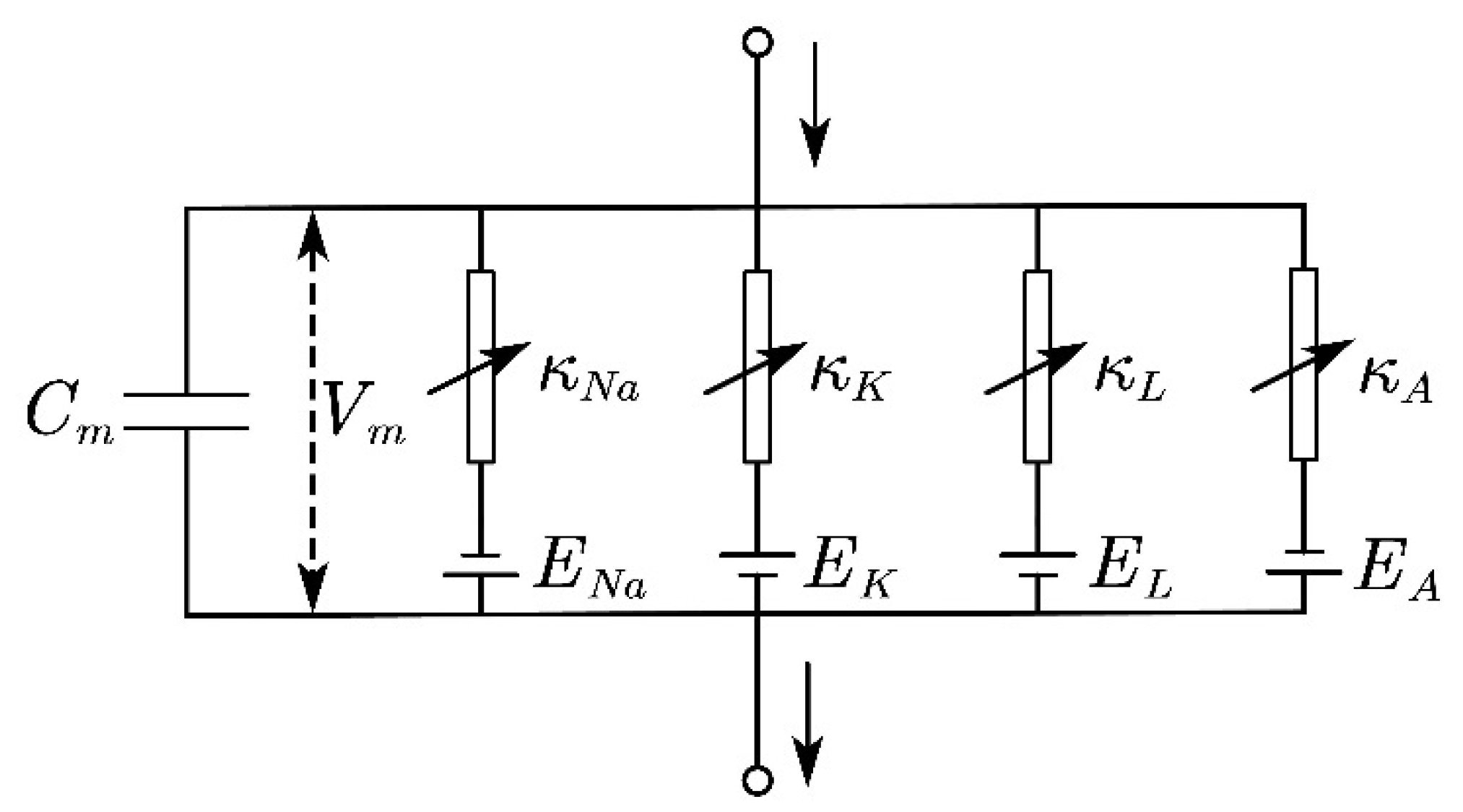 Micromachines 13 01402 g003 550