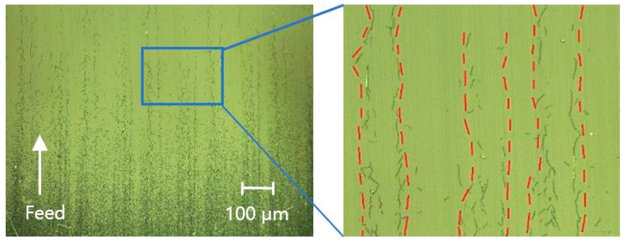 Micromachines 13 01421 g018 550