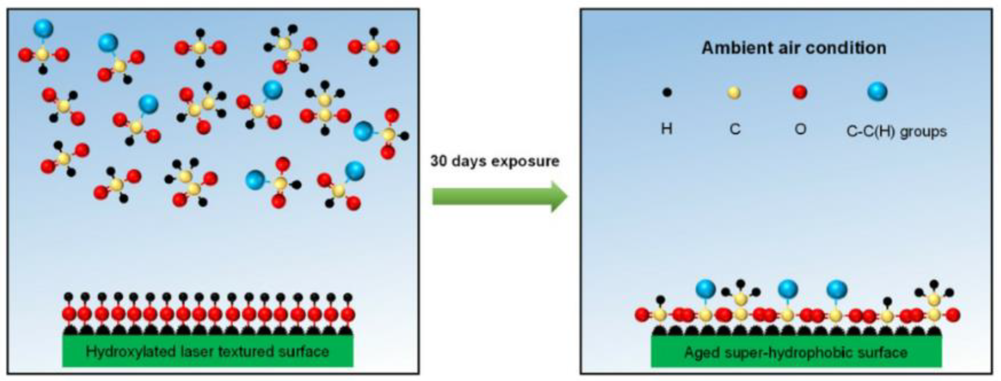 Micromachines 13 01431 g007 550