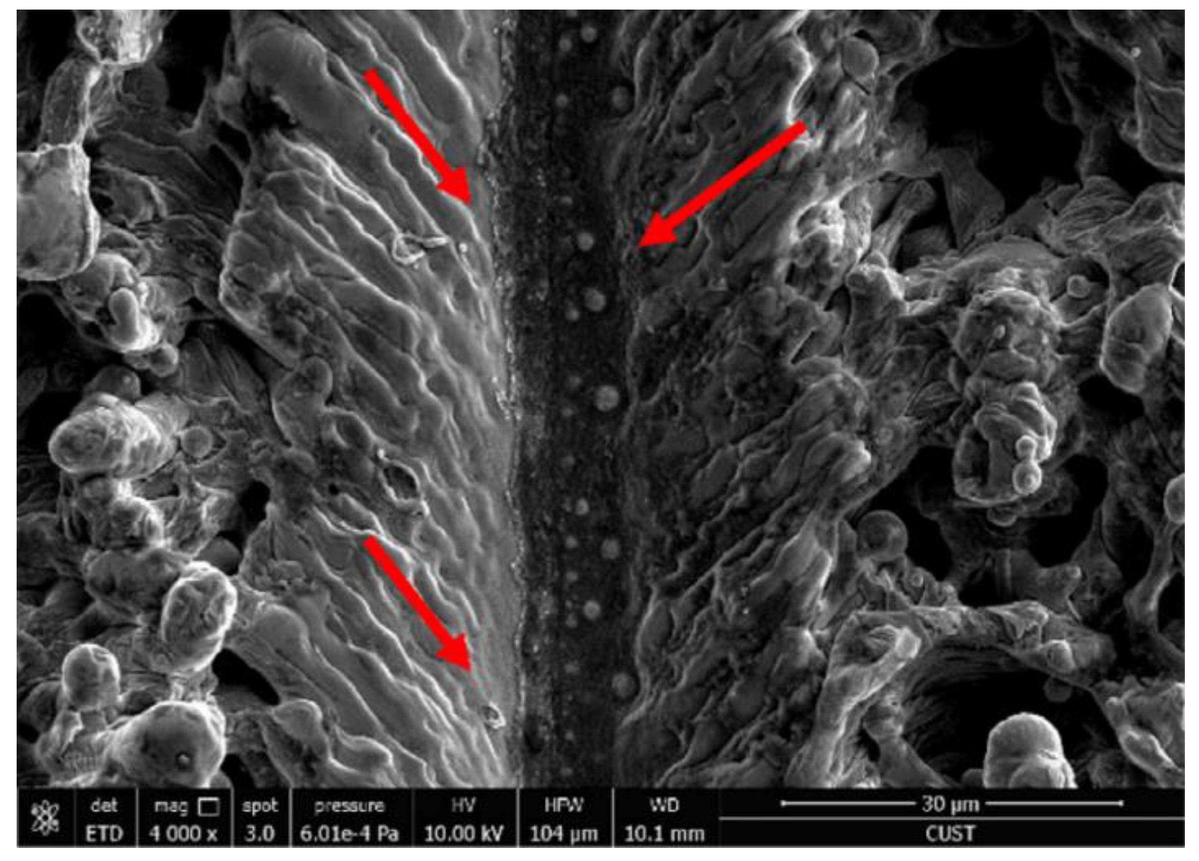 Micromachines 13 01431 g014 550