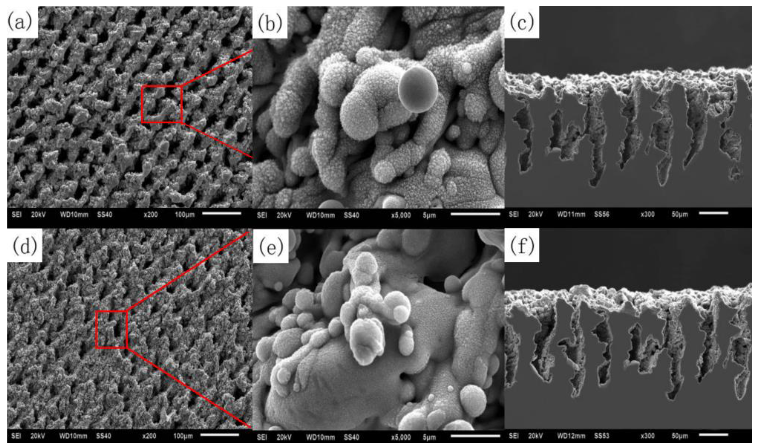 Micromachines 13 01431 g029 550