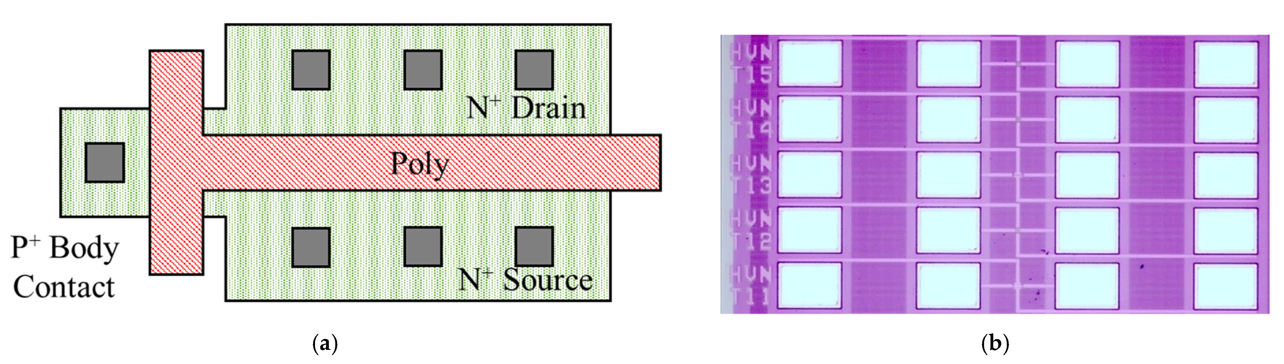 Micromachines 13 01432 g001 550