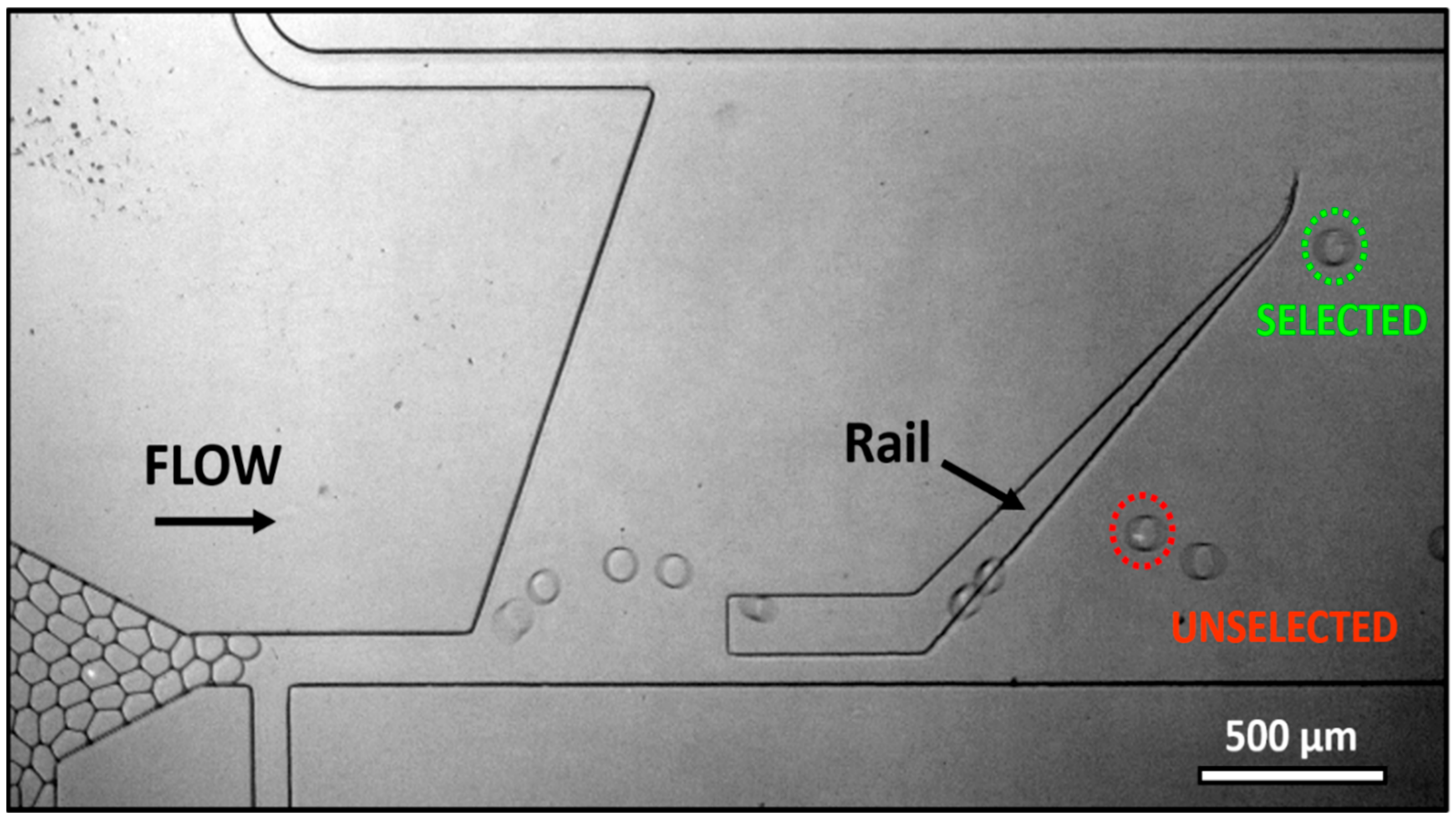 Micromachines 13 01442 g003 550