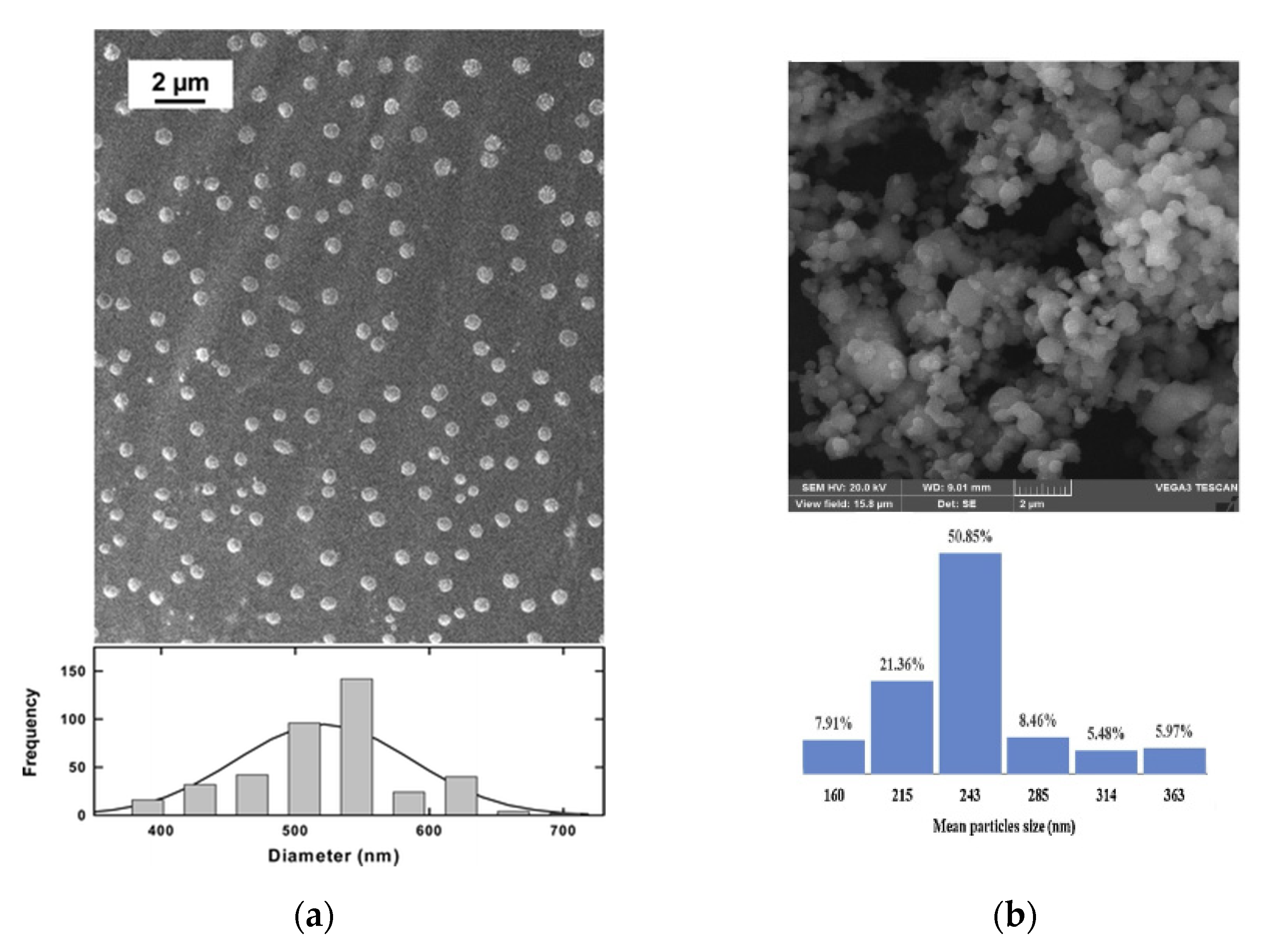 Micromachines 13 01449 g001 550