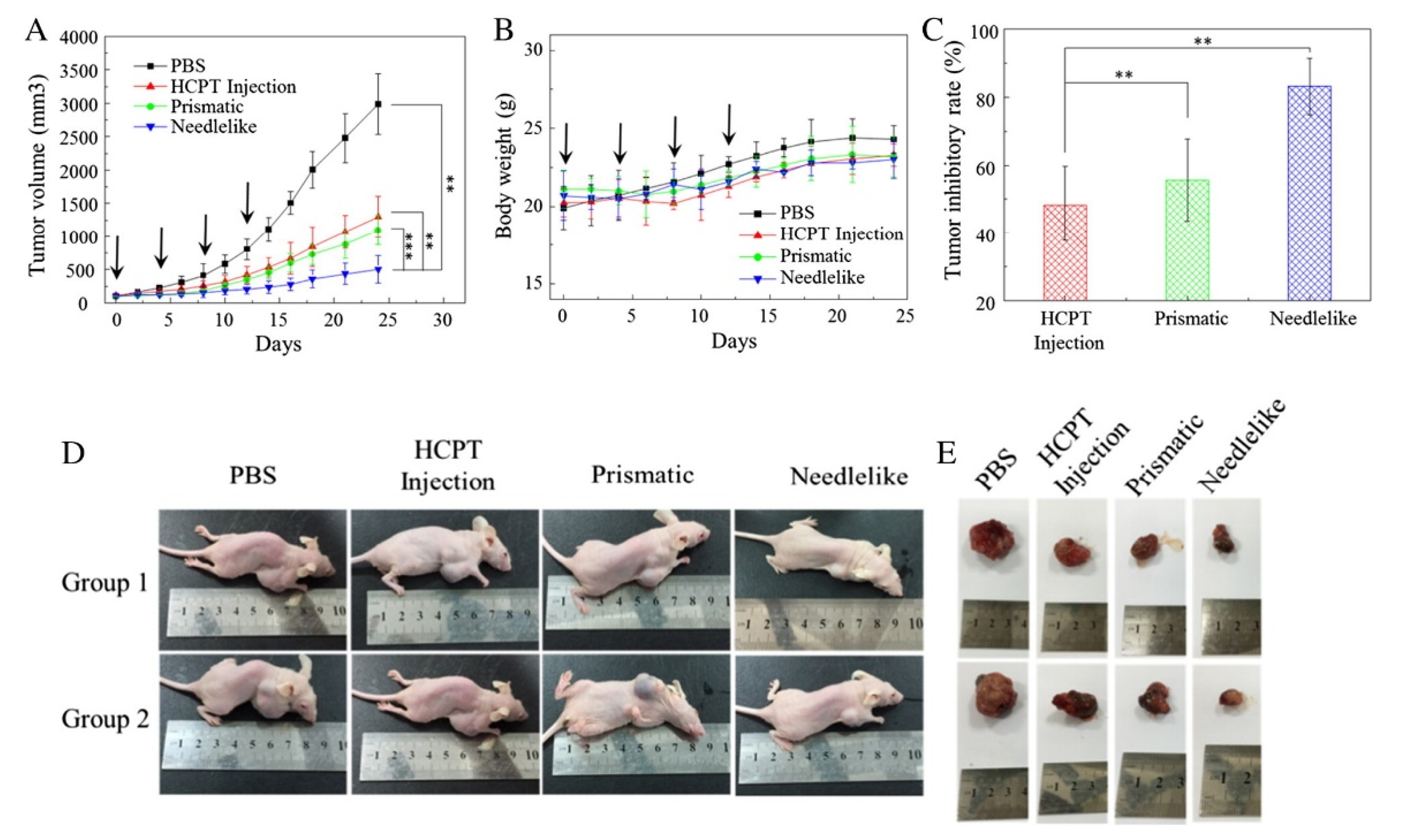 Micromachines 13 01449 g002 550