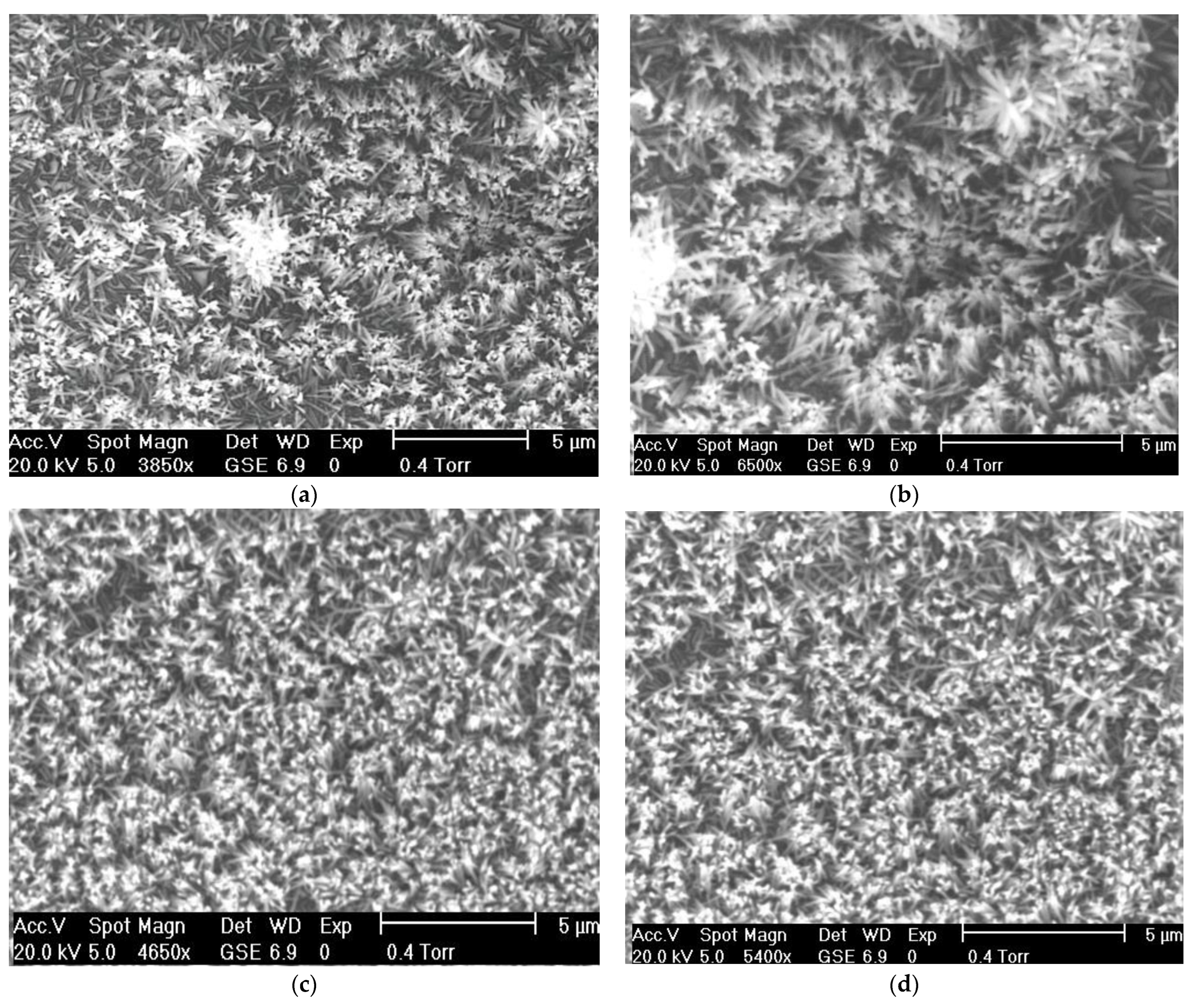 Micromachines 13 01450 g002 550