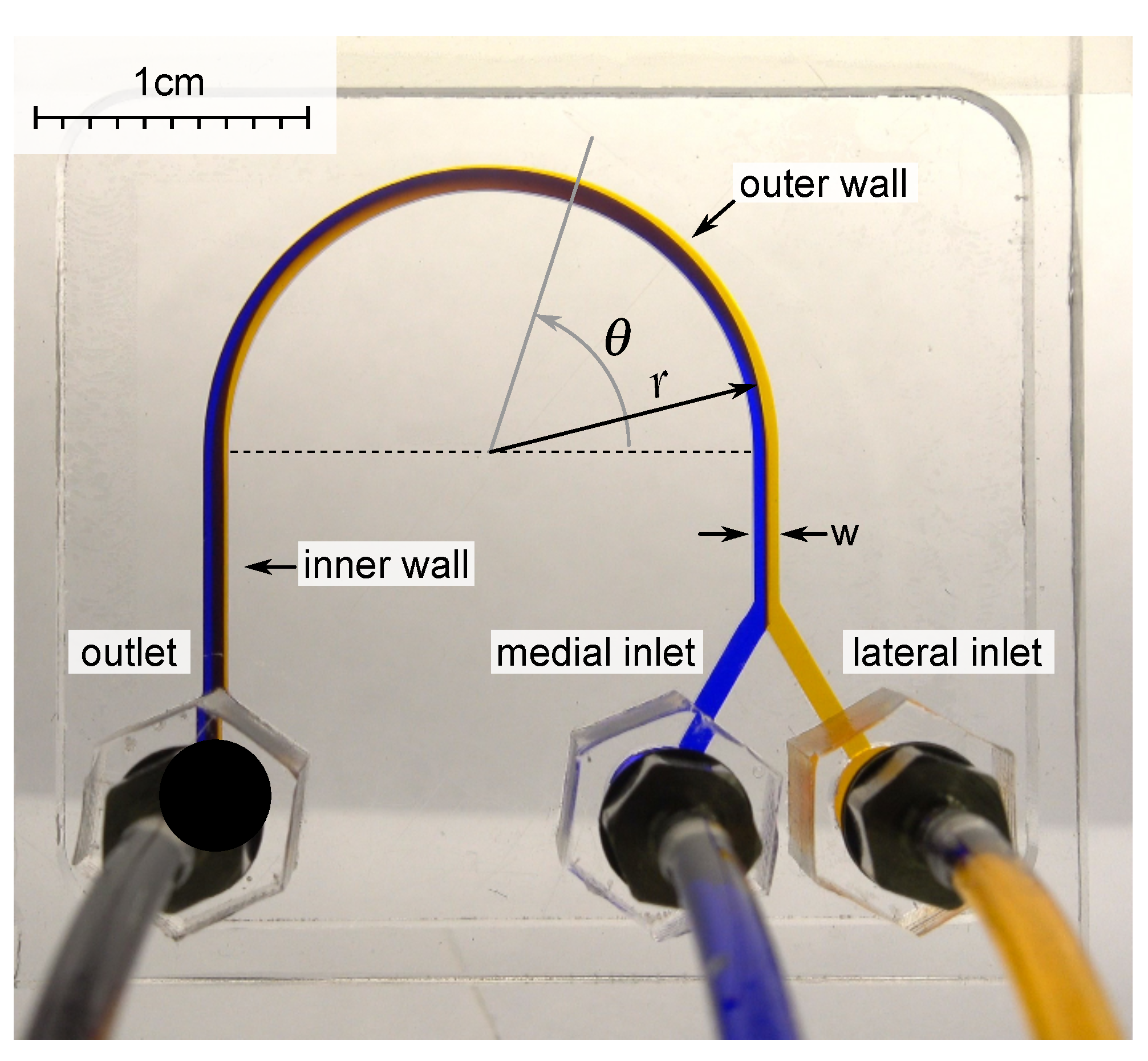Micromachines 13 01452 g001