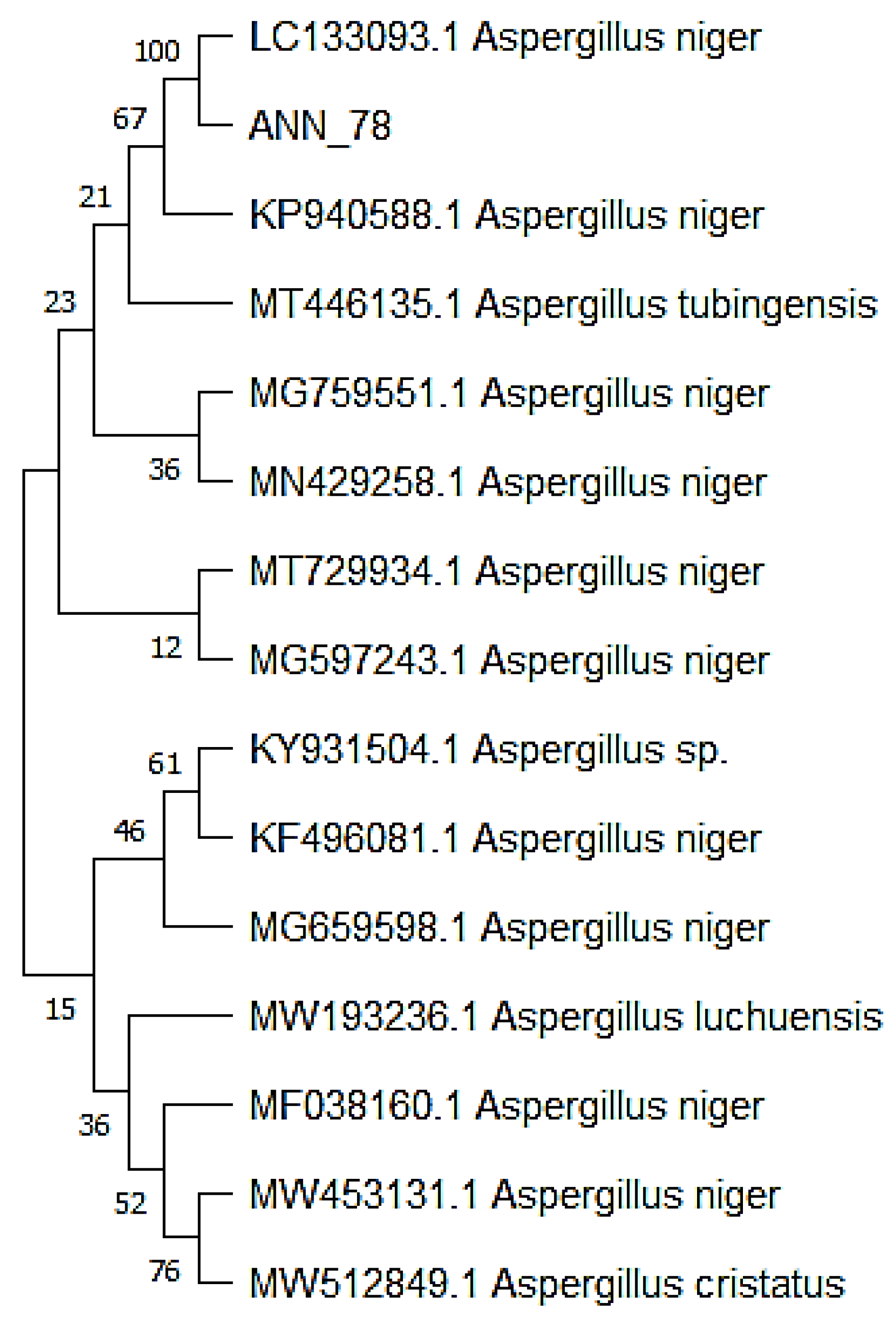 Micromachines 13 01461 g002