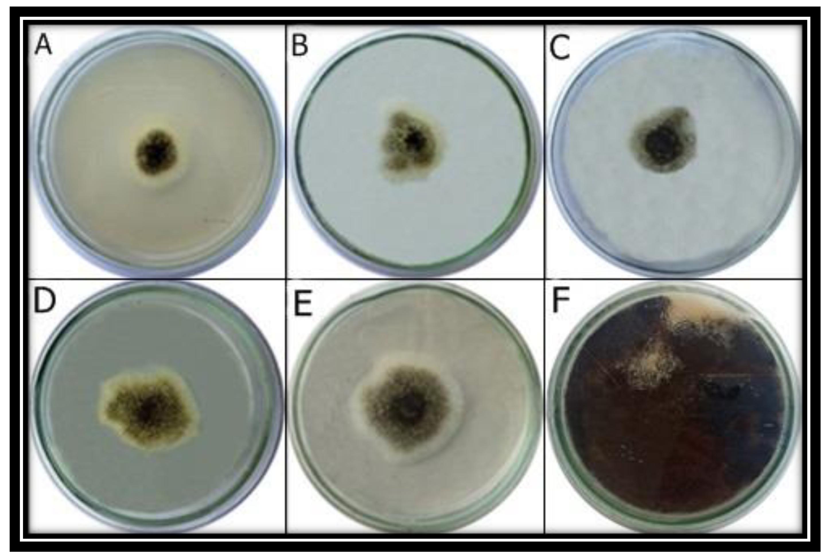 Micromachines 13 01461 g007