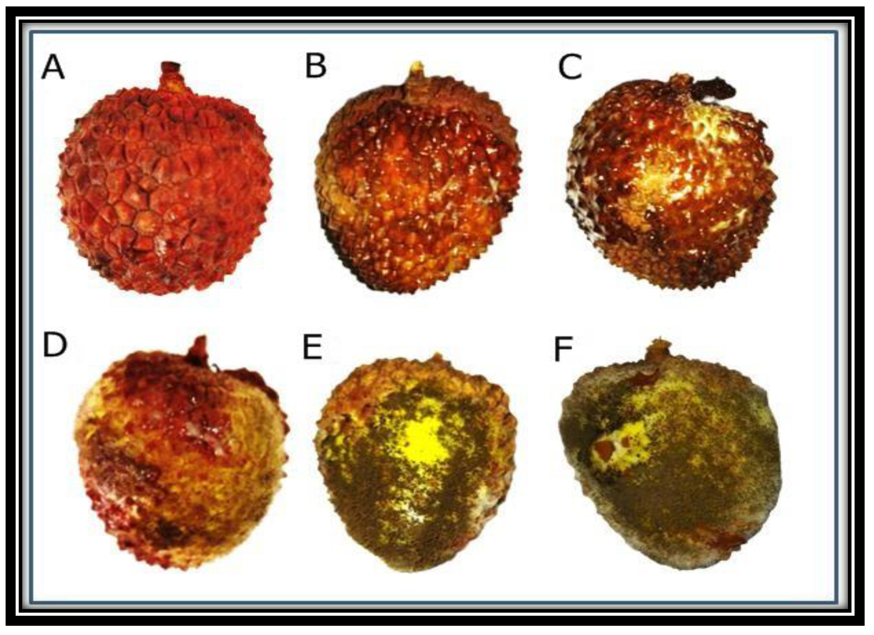 Micromachines 13 01461 g008