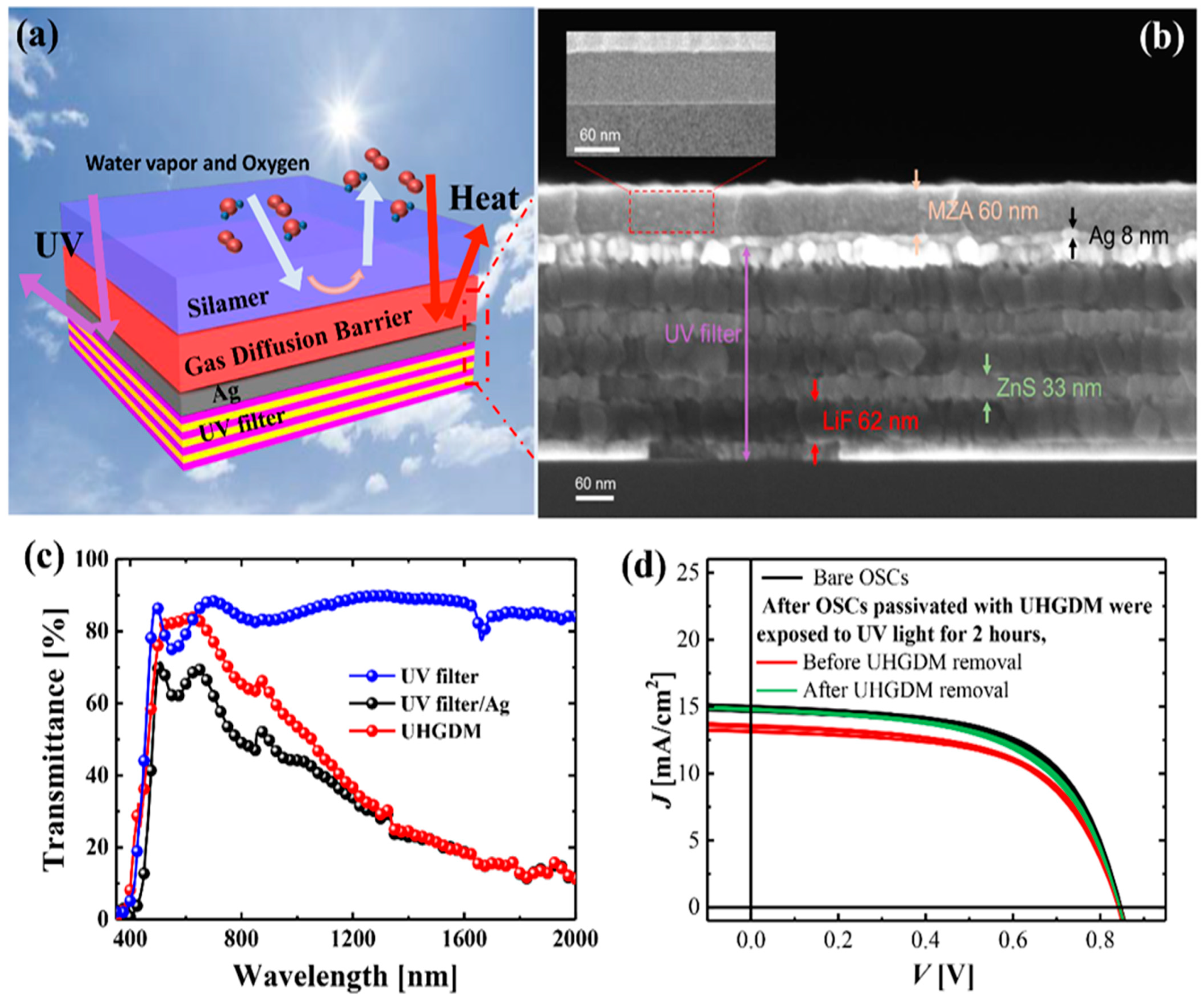 Micromachines 13 01478 g005 550