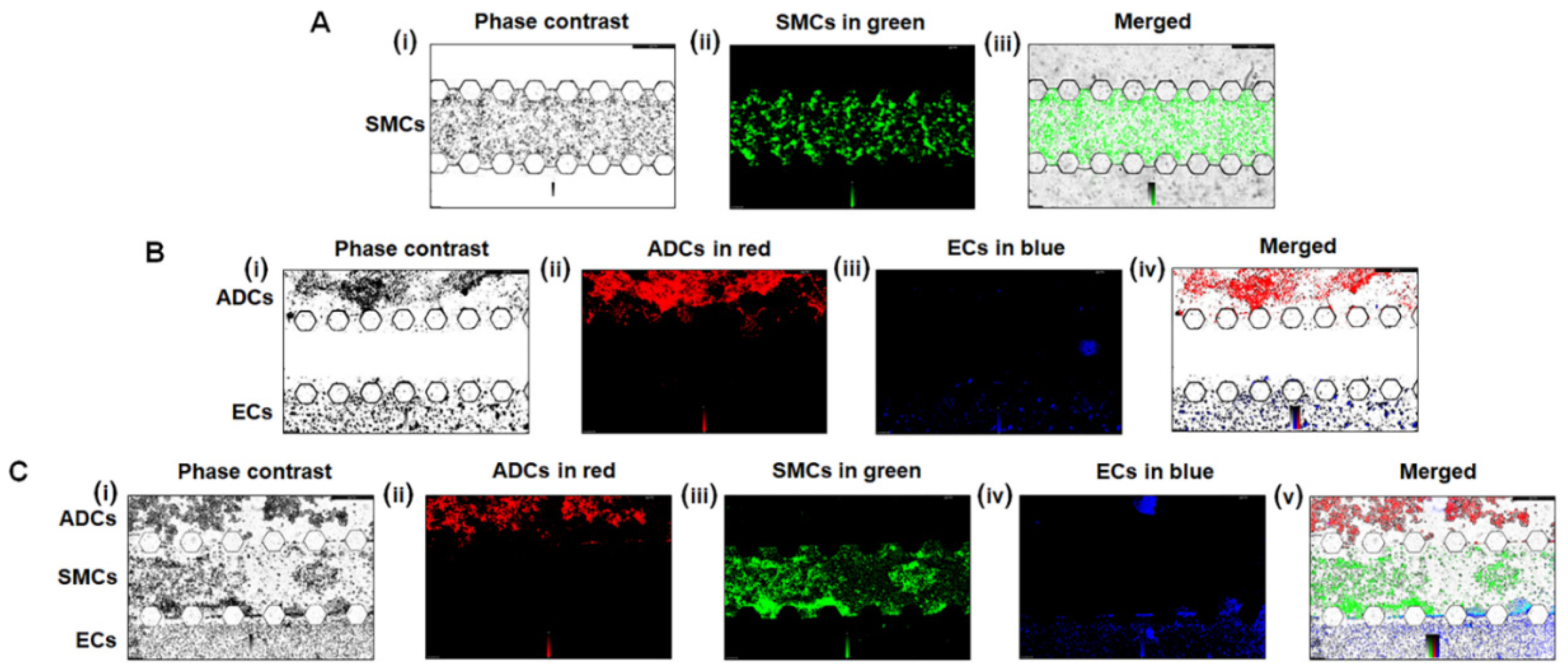 Micromachines 13 01483 g007 Micromachines 13 01483 g007