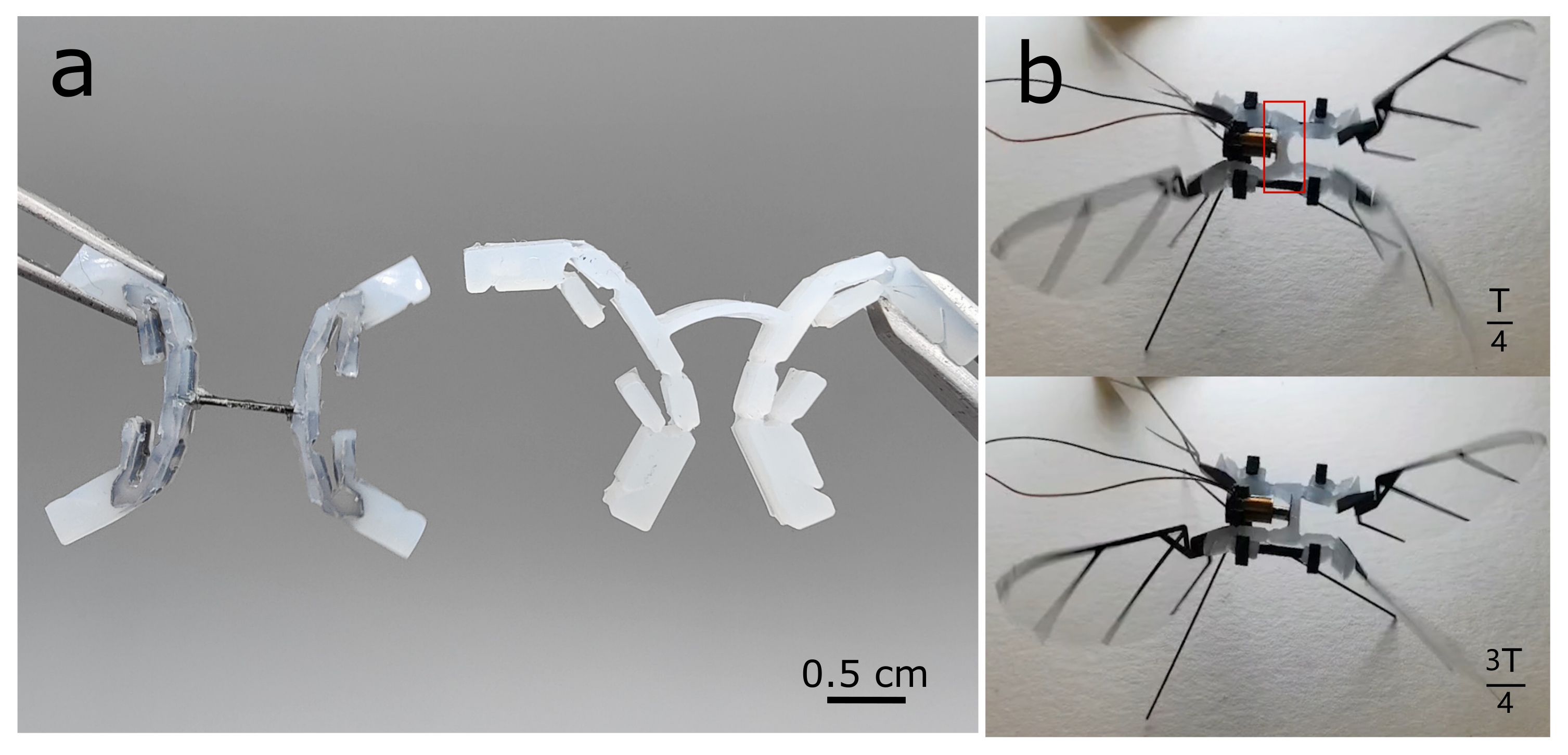 Micromachines 13 01489 g004