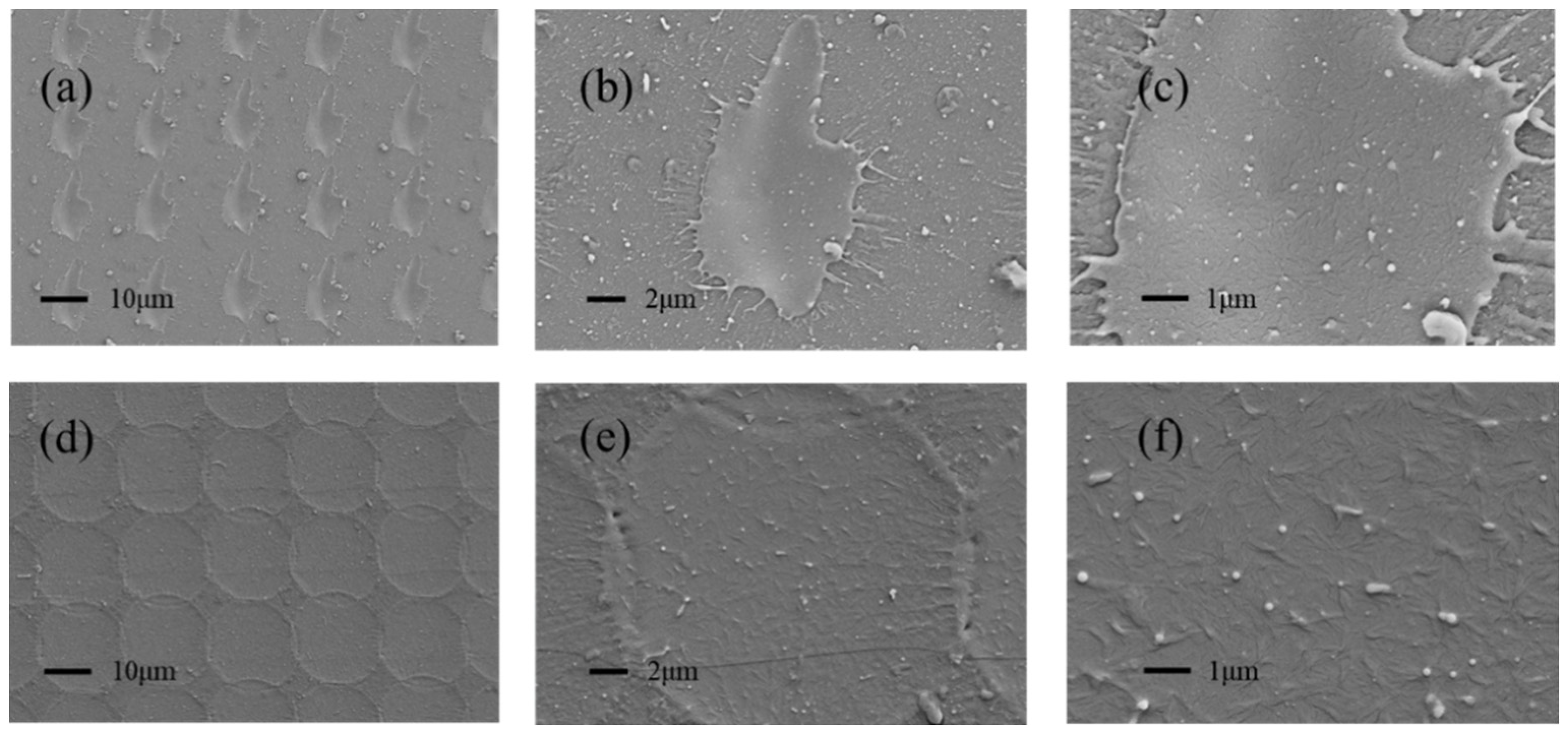 Micromachines 13 01491 g004 550