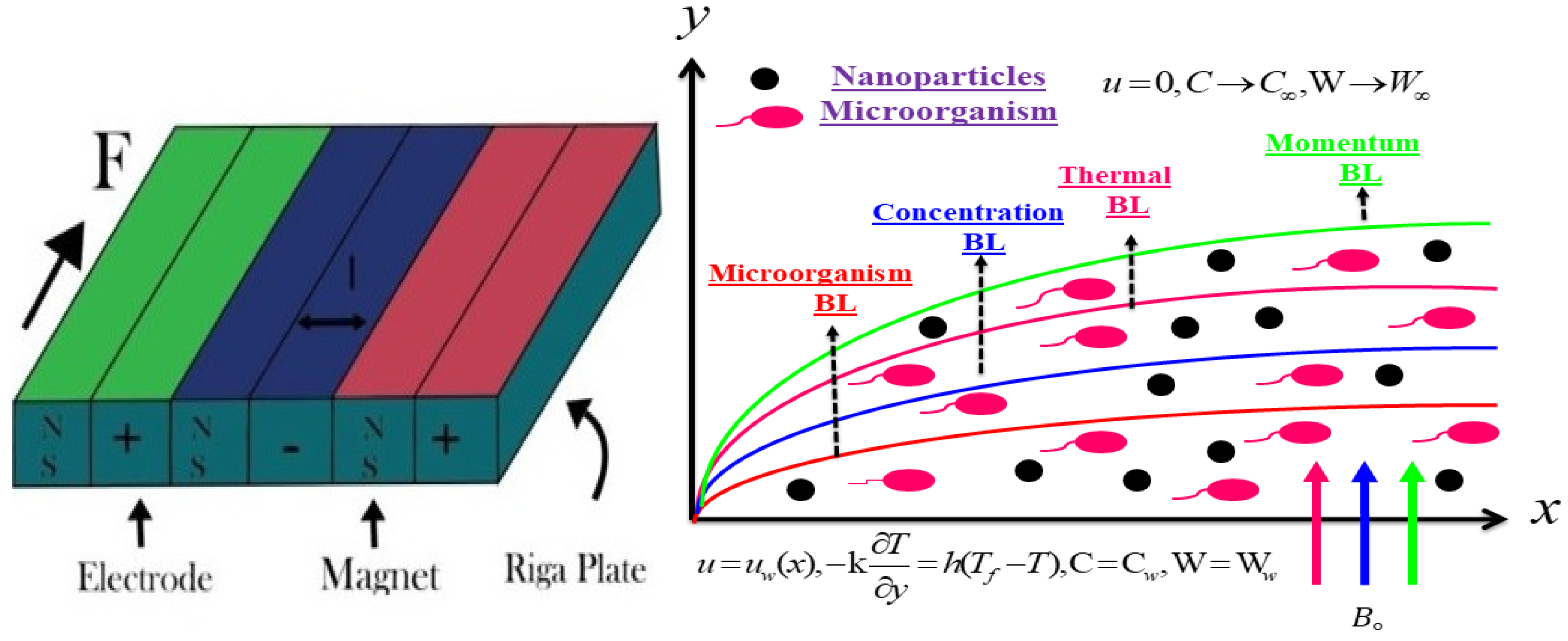 Micromachines 13 01497 g001 550