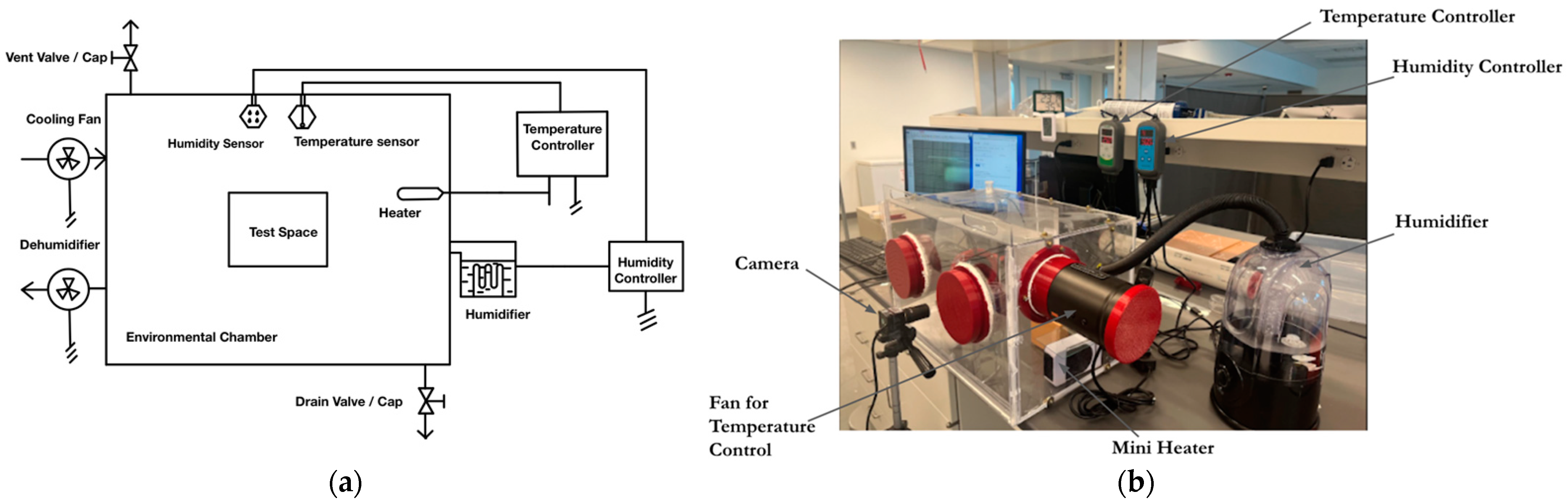 Micromachines 13 01502 g002