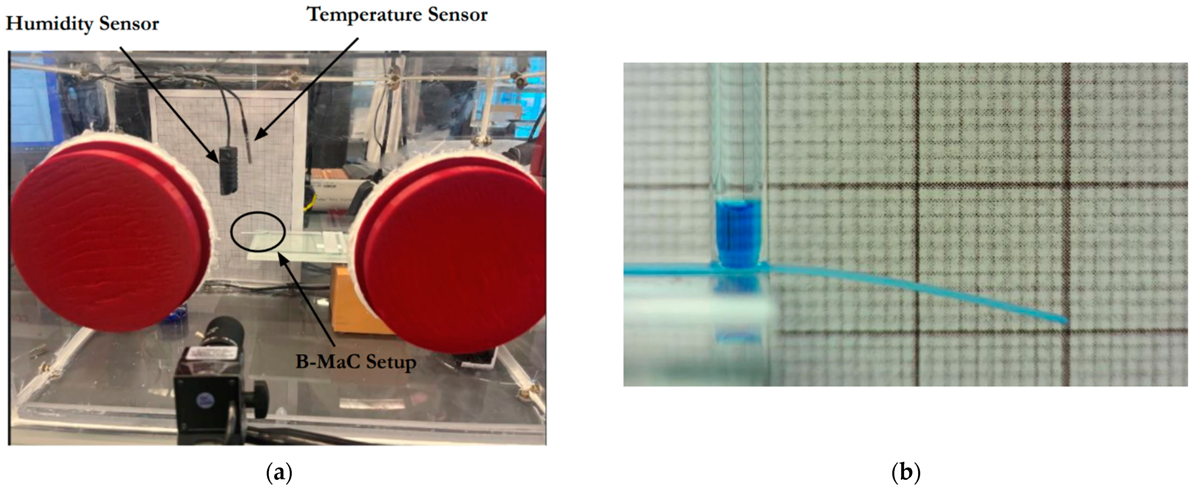 Micromachines 13 01502 g003