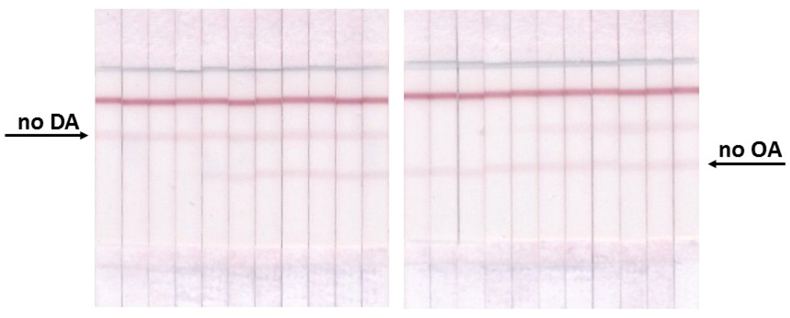 Micromachines 13 01506 g006 550