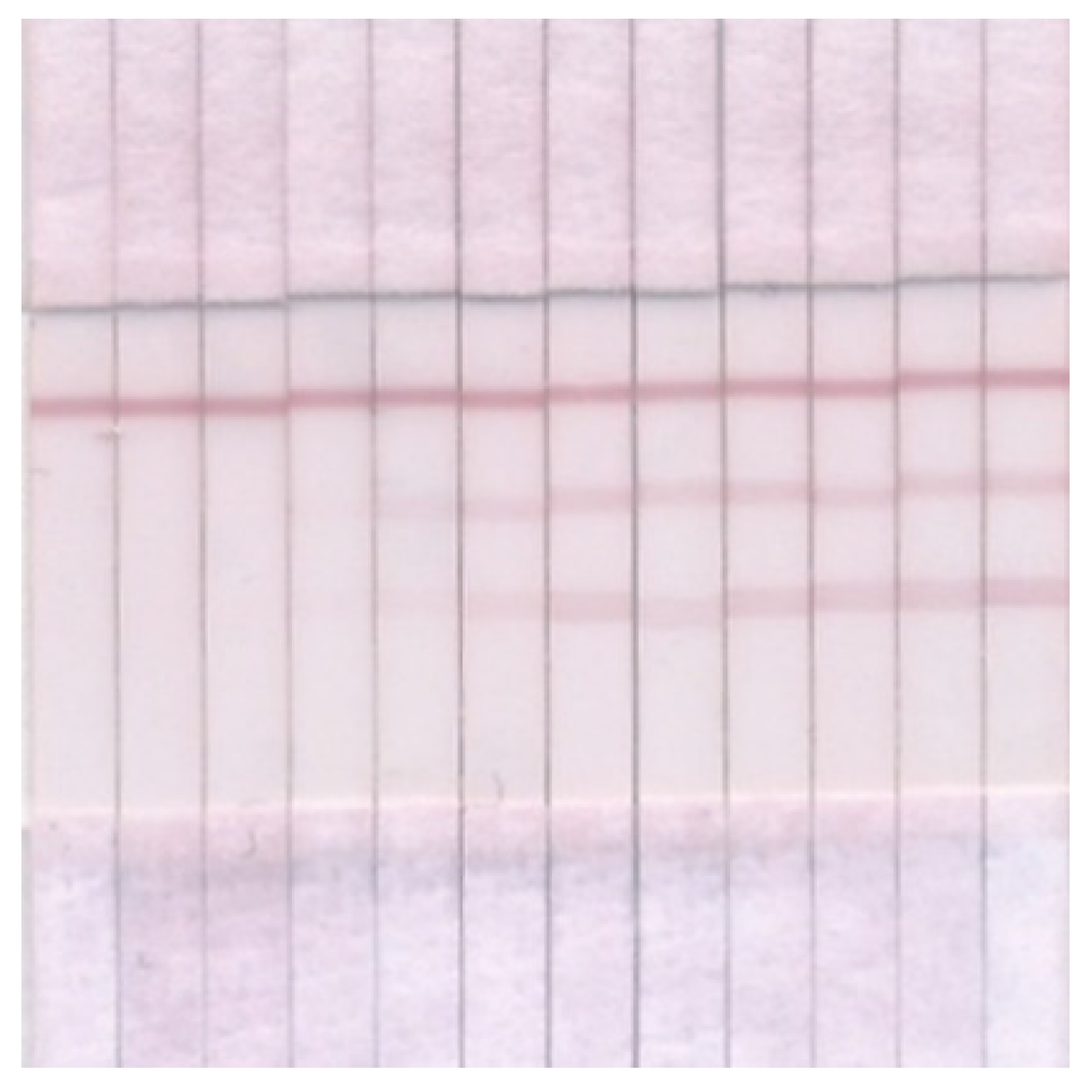 Micromachines 13 01506 g007 550