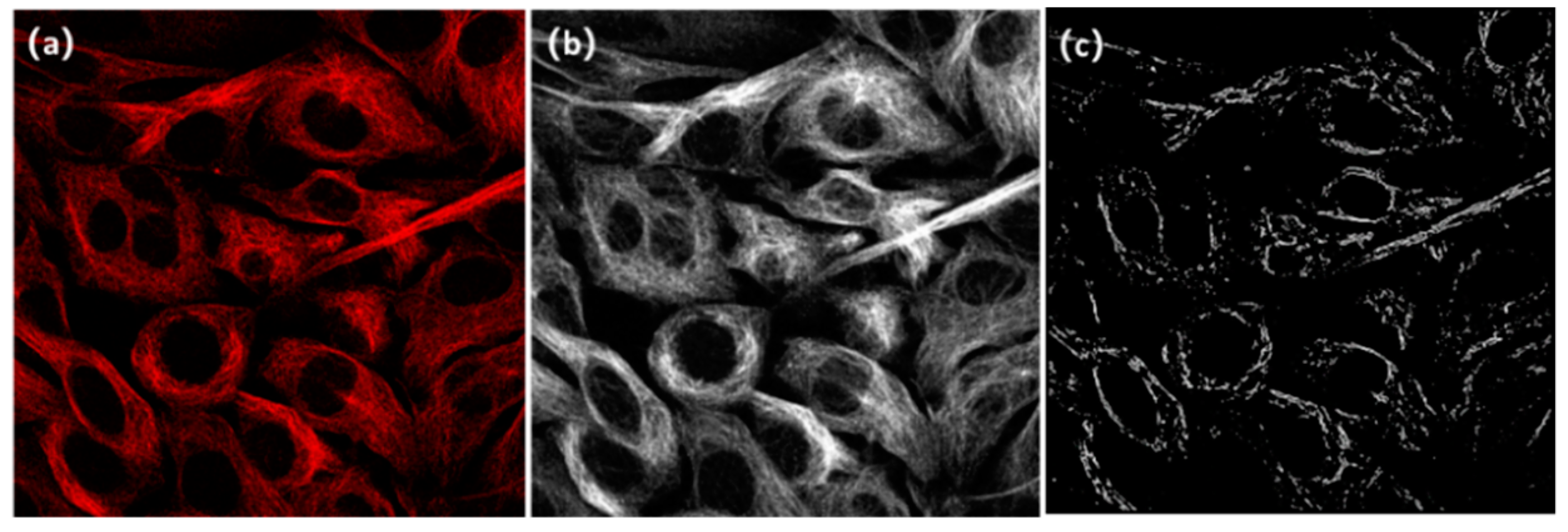 Micromachines 13 01515 g005