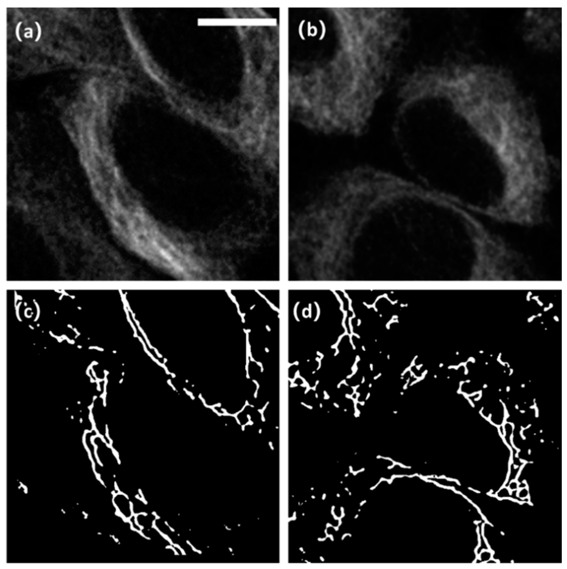 Micromachines 13 01515 g006