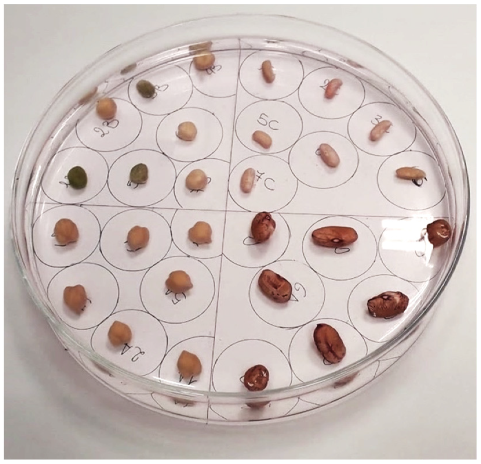 Micromachines 13 01525 g004 550