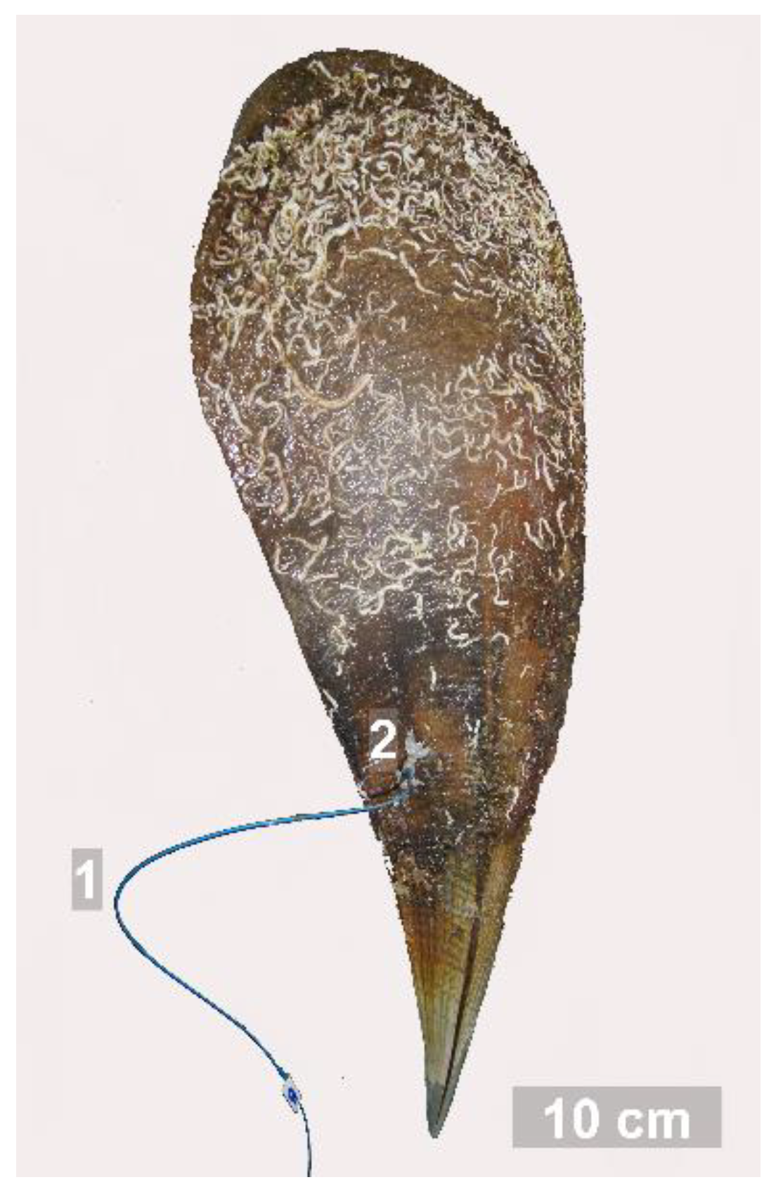 Micromachines 13 01549 g002