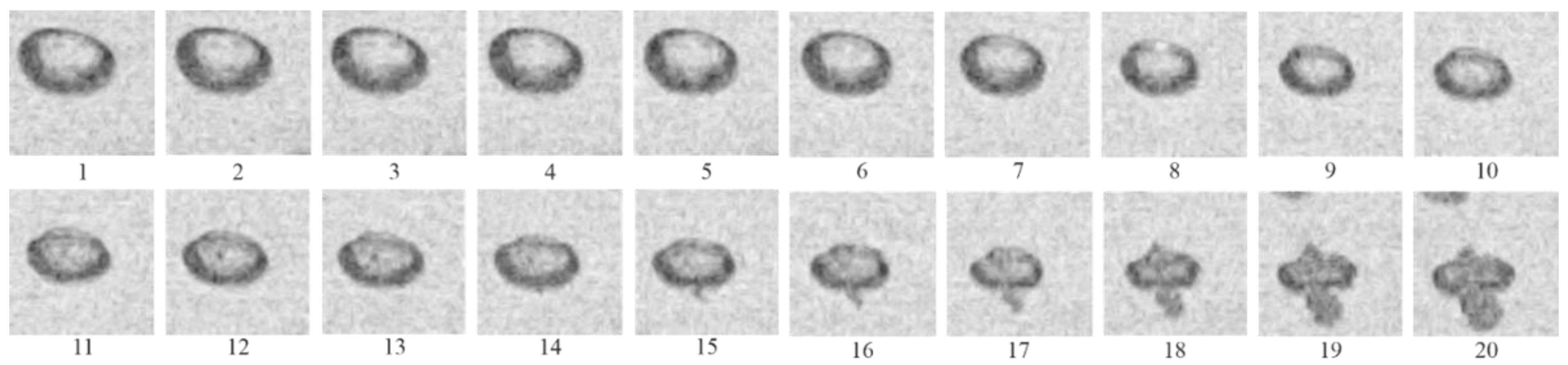 Micromachines 13 01553 g009