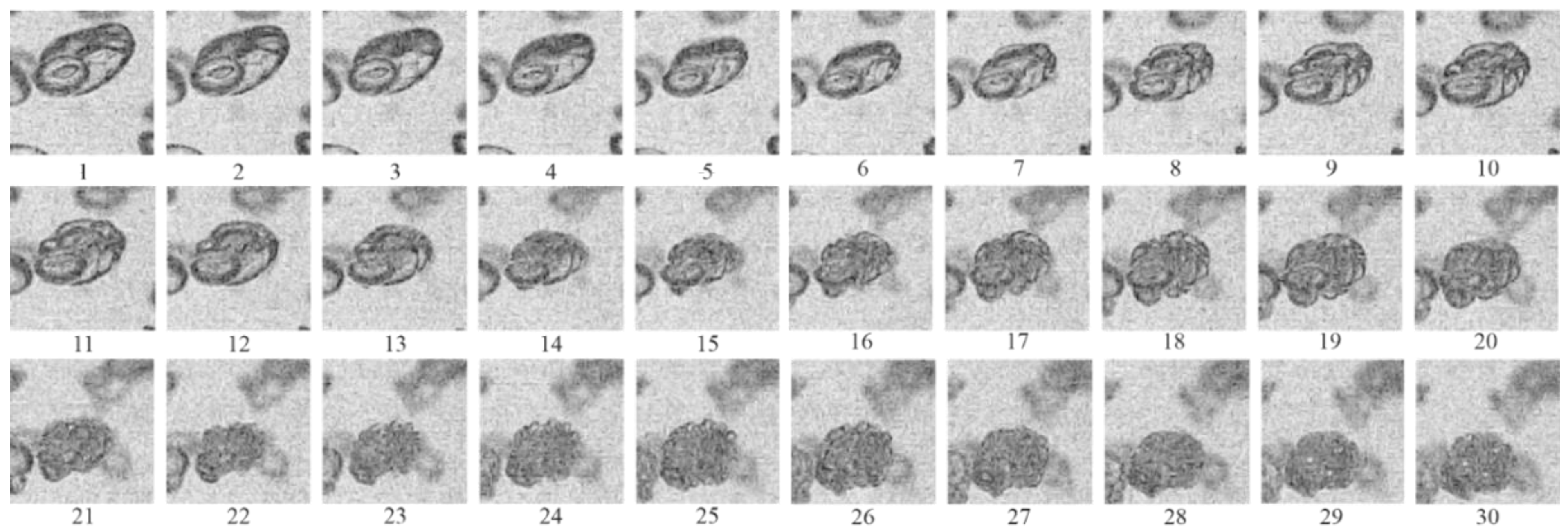Micromachines 13 01553 g010