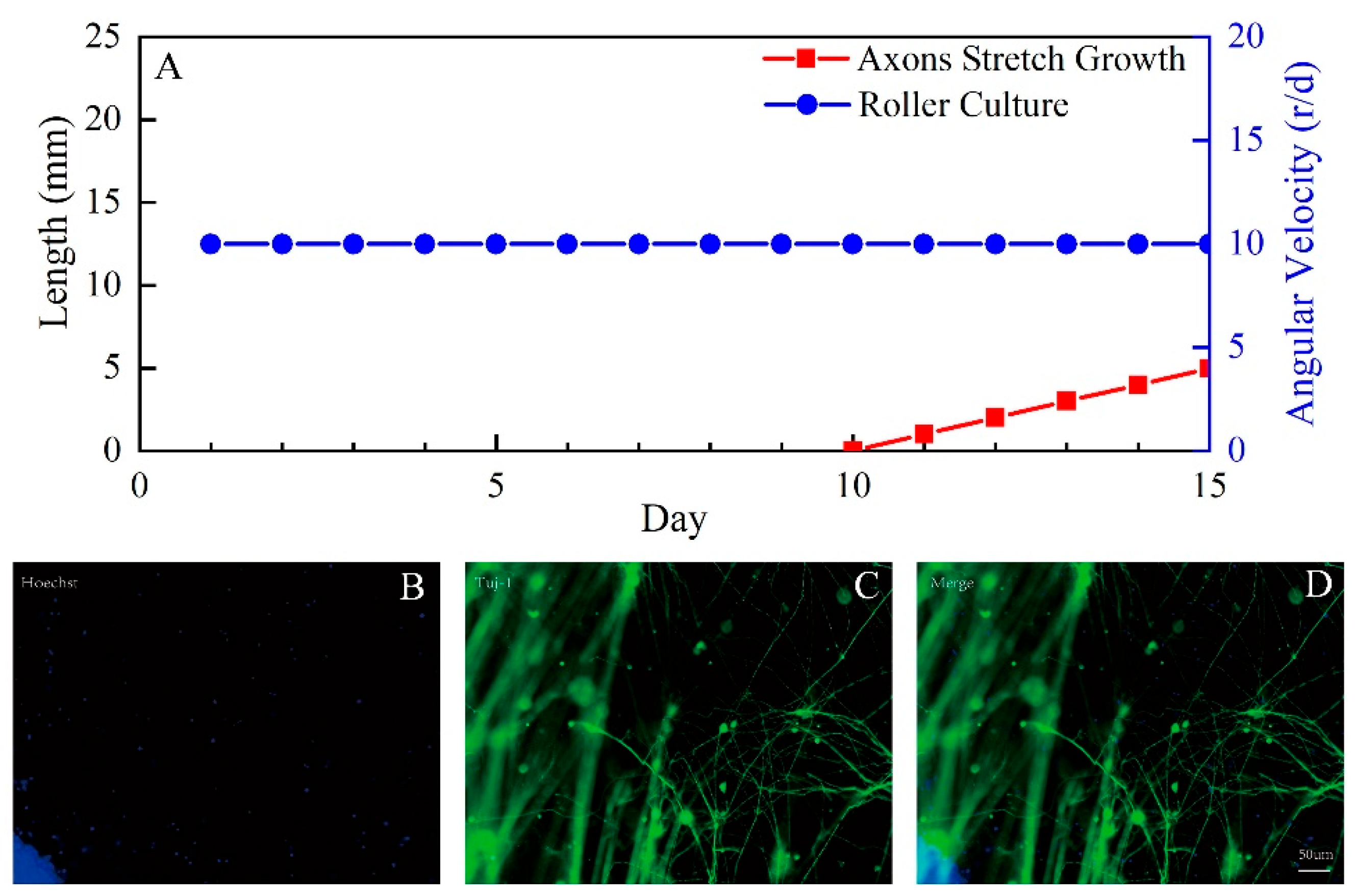 Micromachines 13 01558 g009
