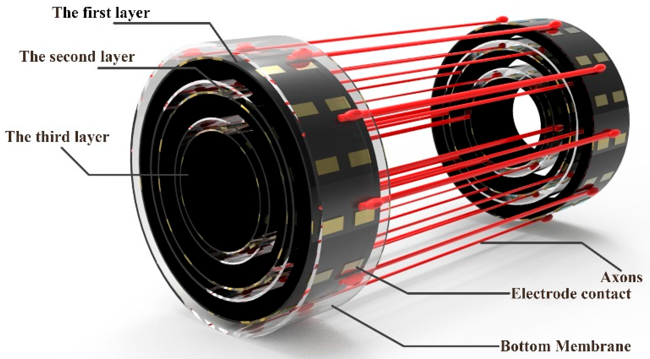 Micromachines 13 01558 g010