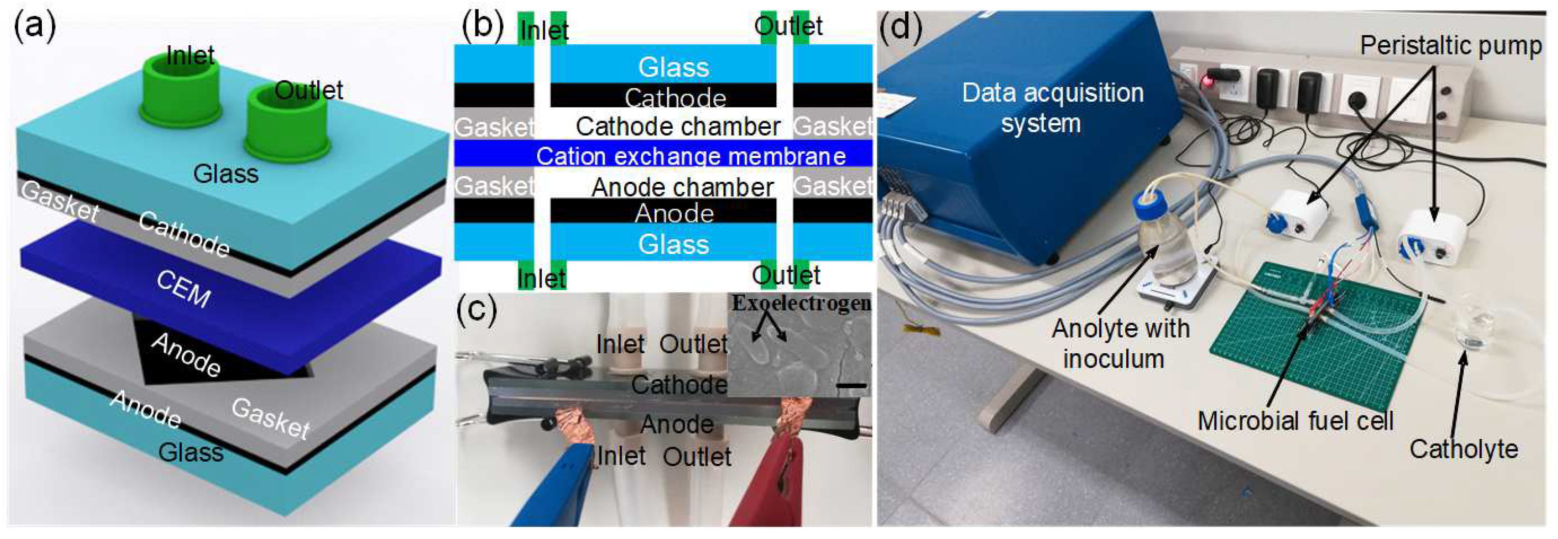 Micromachines 13 01560 g001