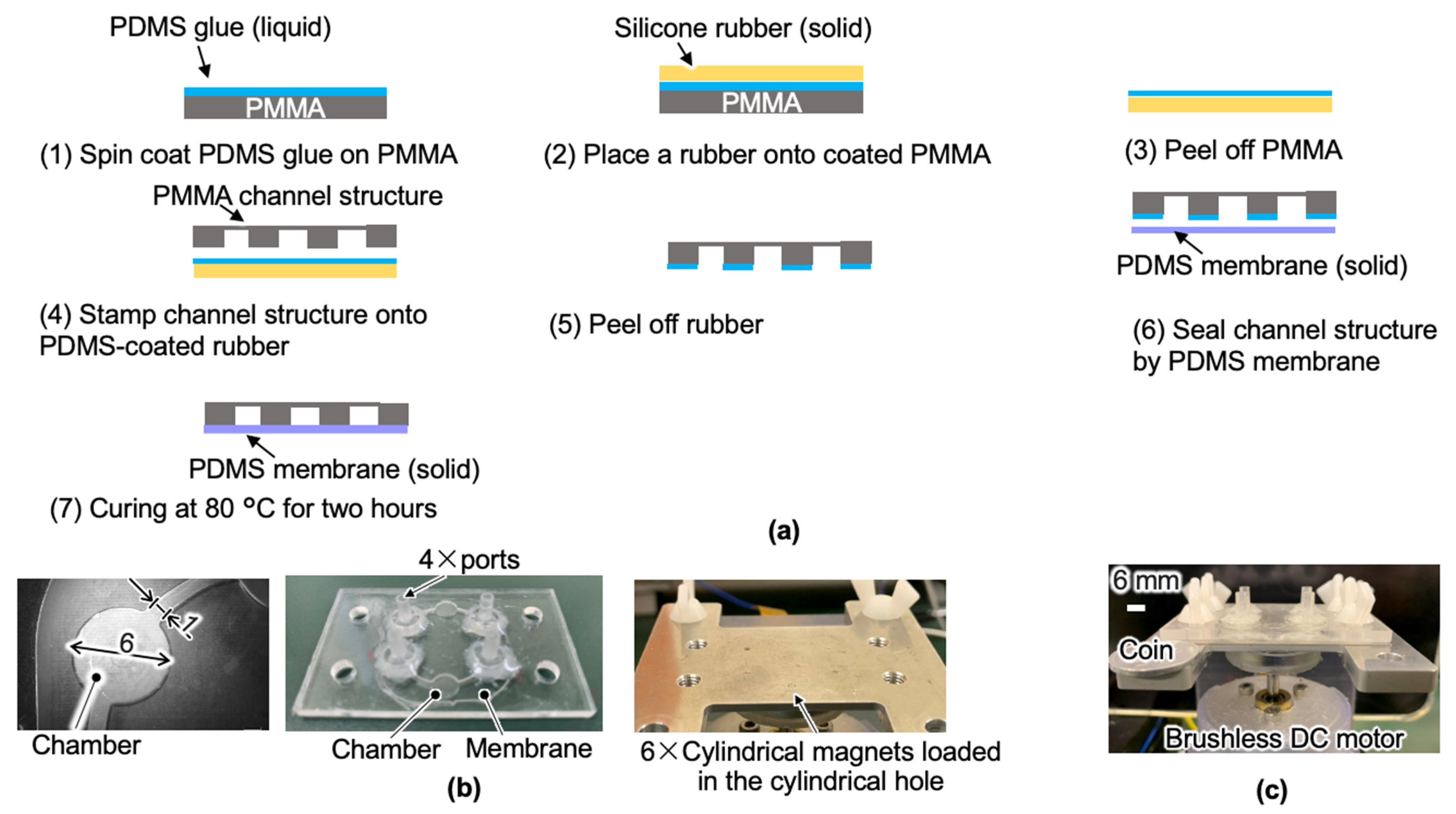 Micromachines 13 01565 g006