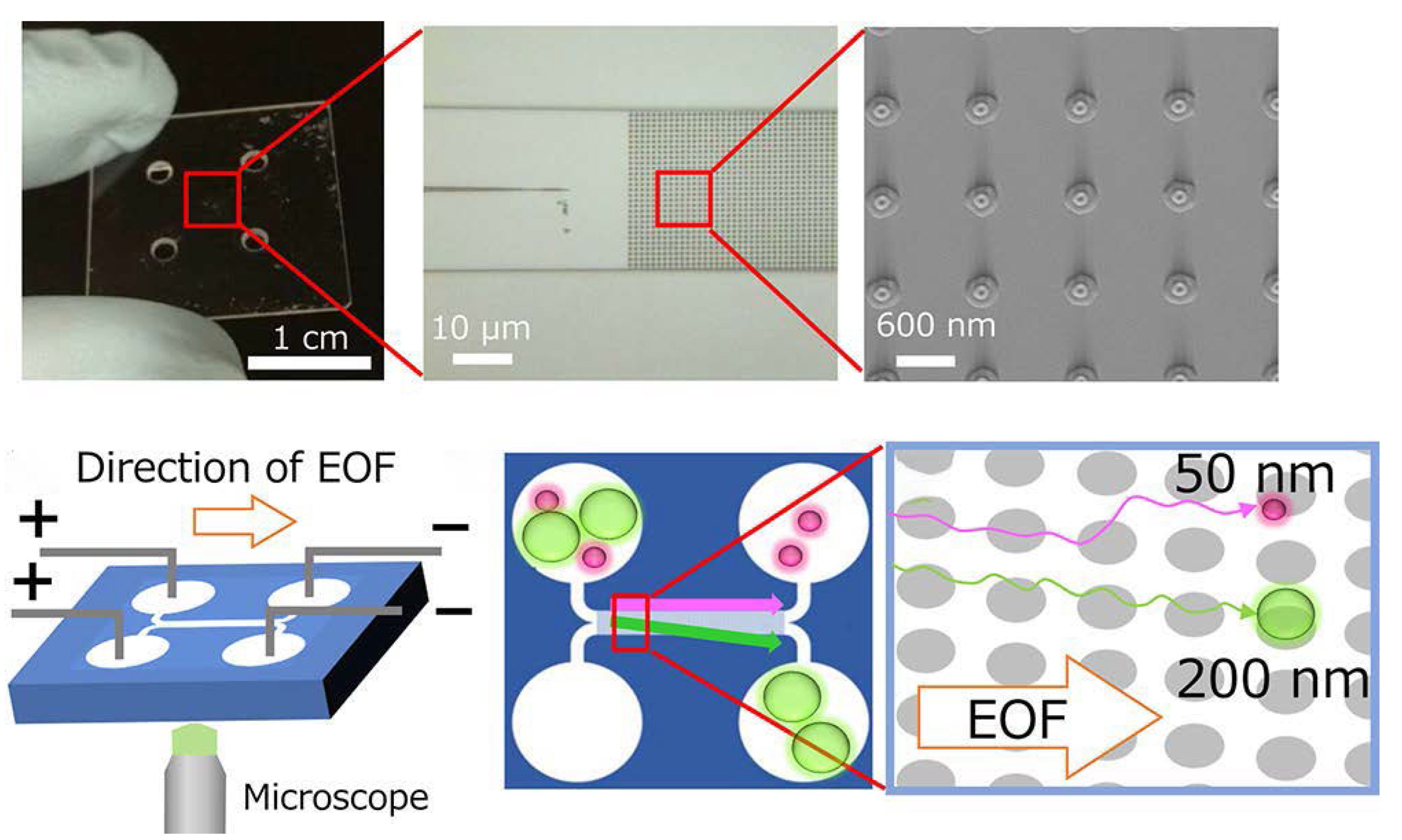 Micromachines 13 01571 g004 Micromachines 13 01571 g004