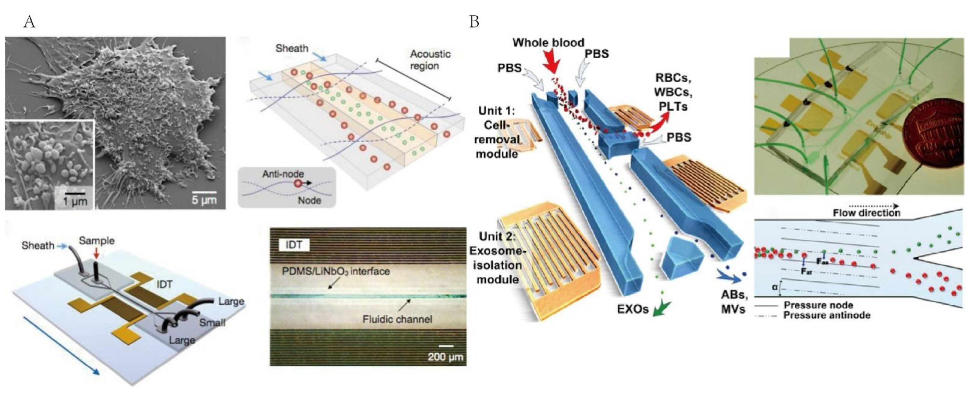 Micromachines 13 01571 g005 Micromachines 13 01571 g005