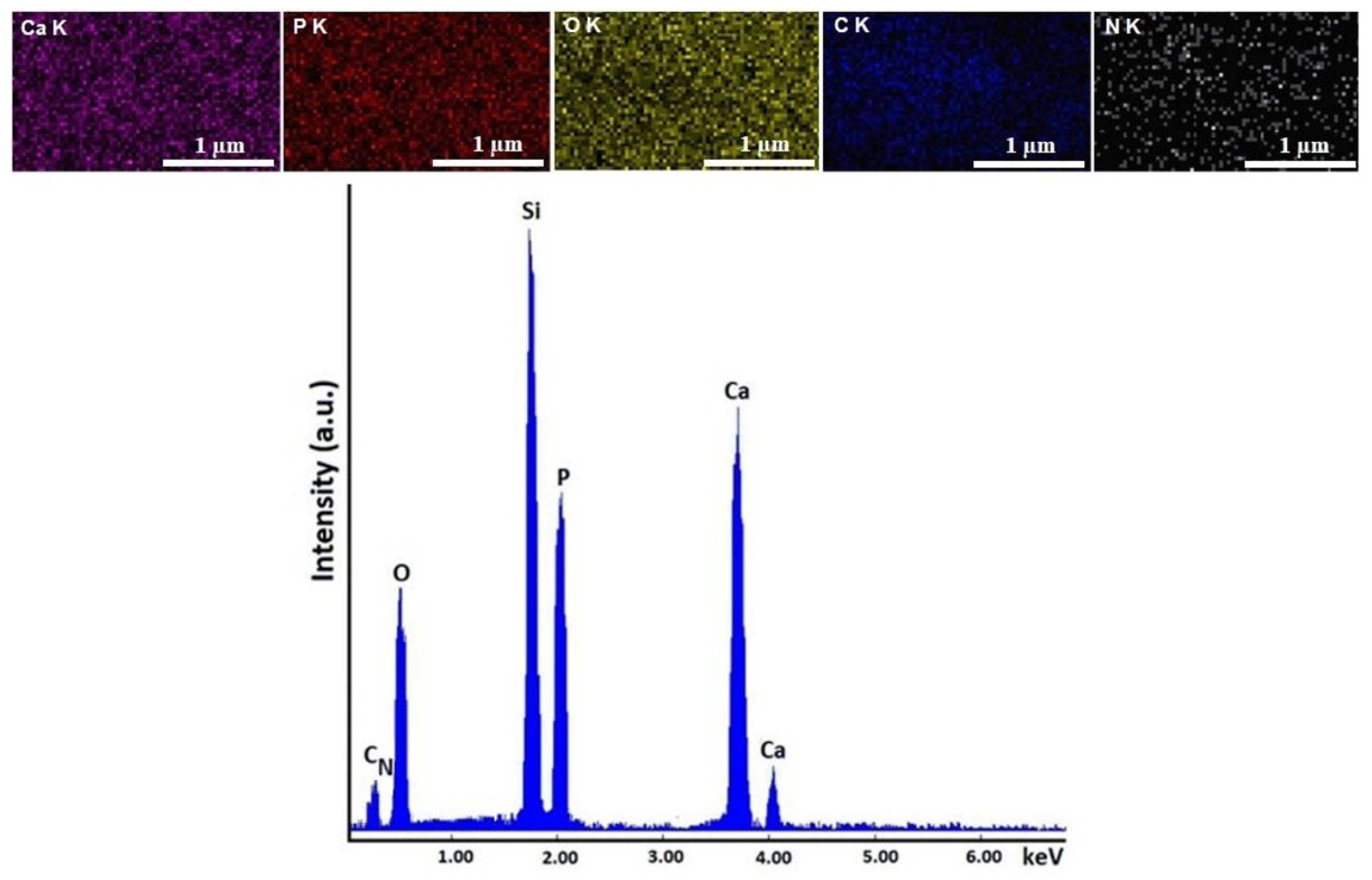 Micromachines 13 01574 g004 Micromachines 13 01574 g004
