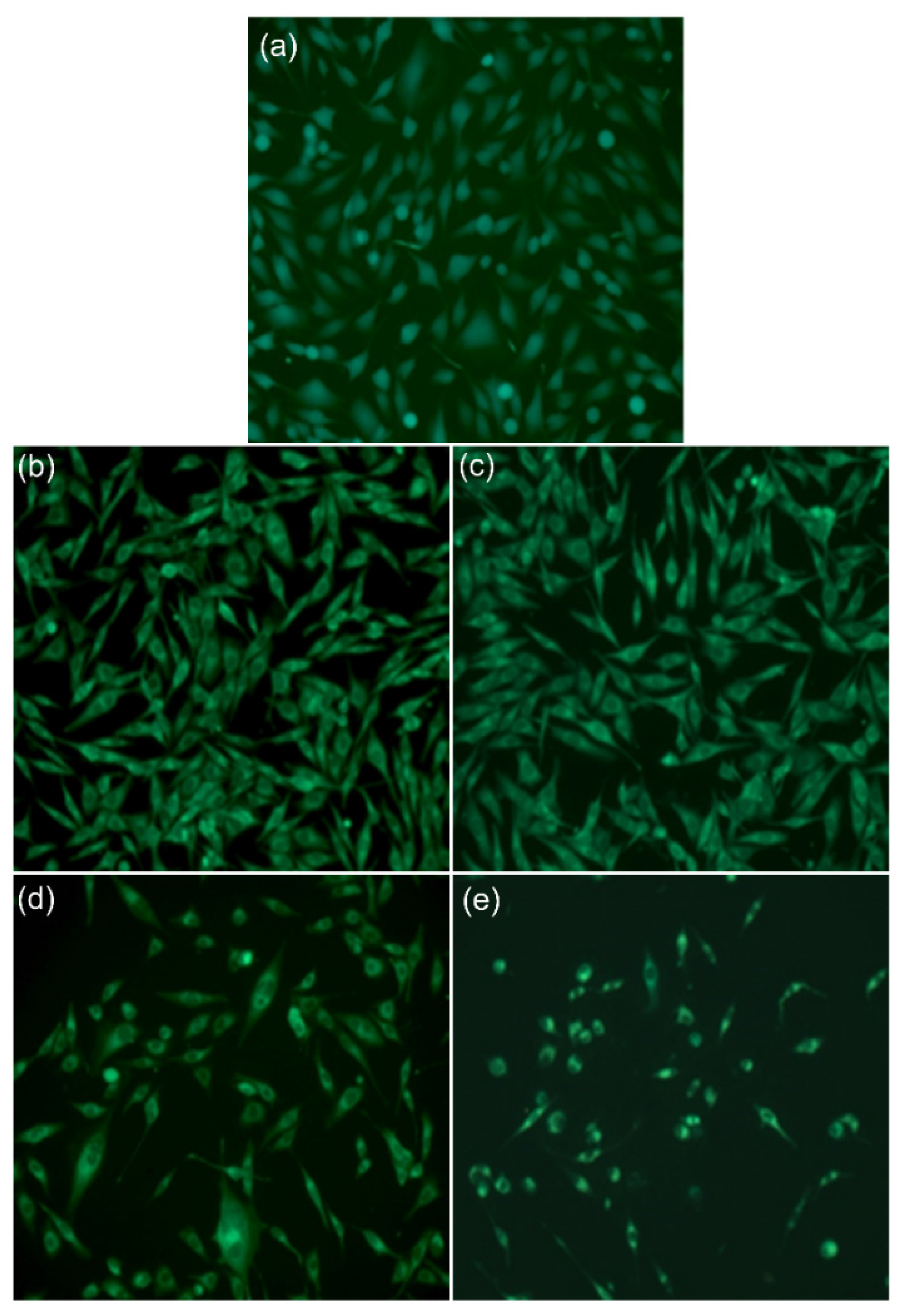 Micromachines 13 01574 g006 Micromachines 13 01574 g006