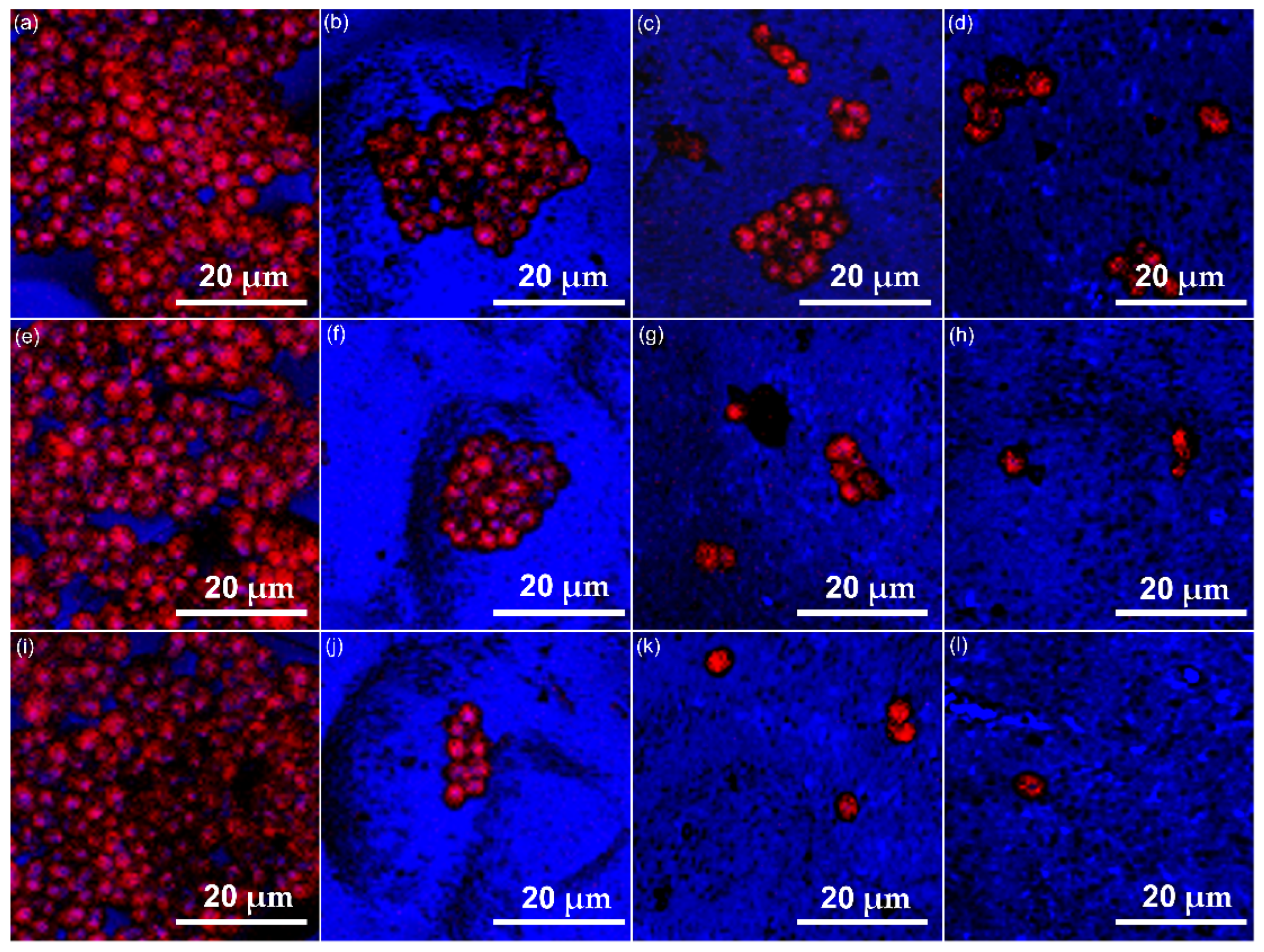 Micromachines 13 01574 g010 Micromachines 13 01574 g010