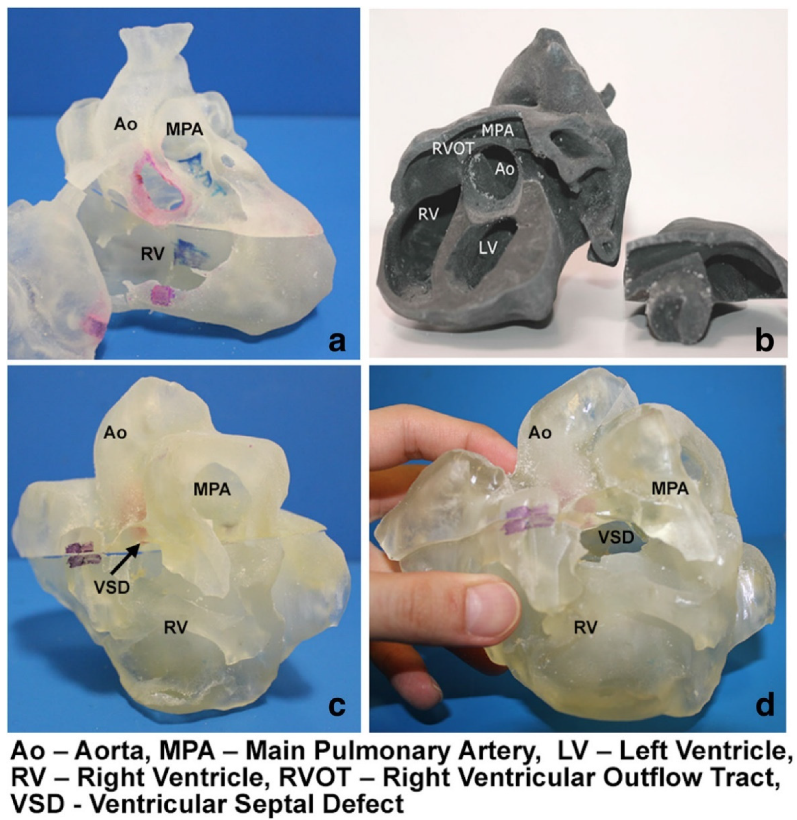 Micromachines 13 01575 g001