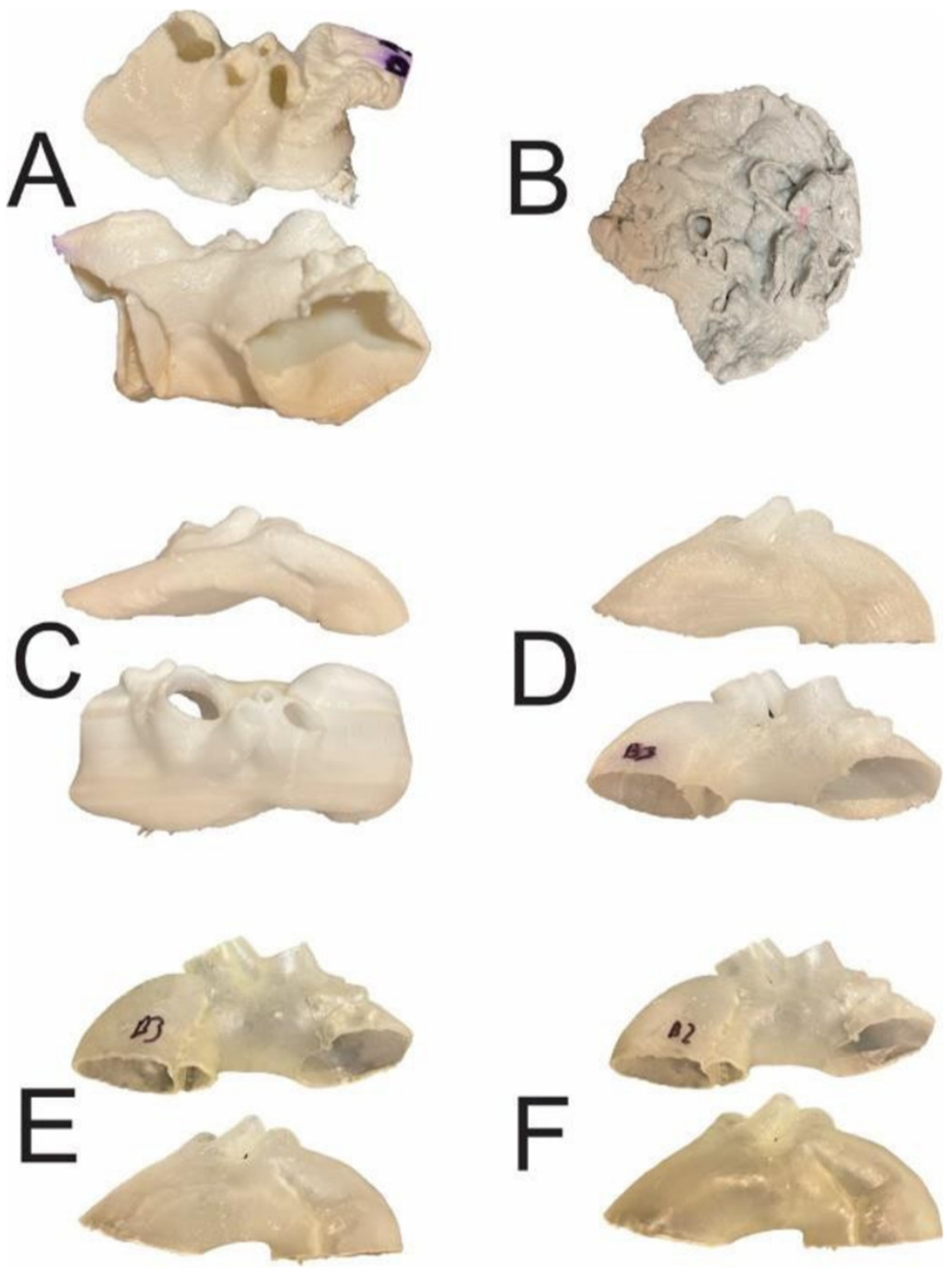 Micromachines 13 01575 g007