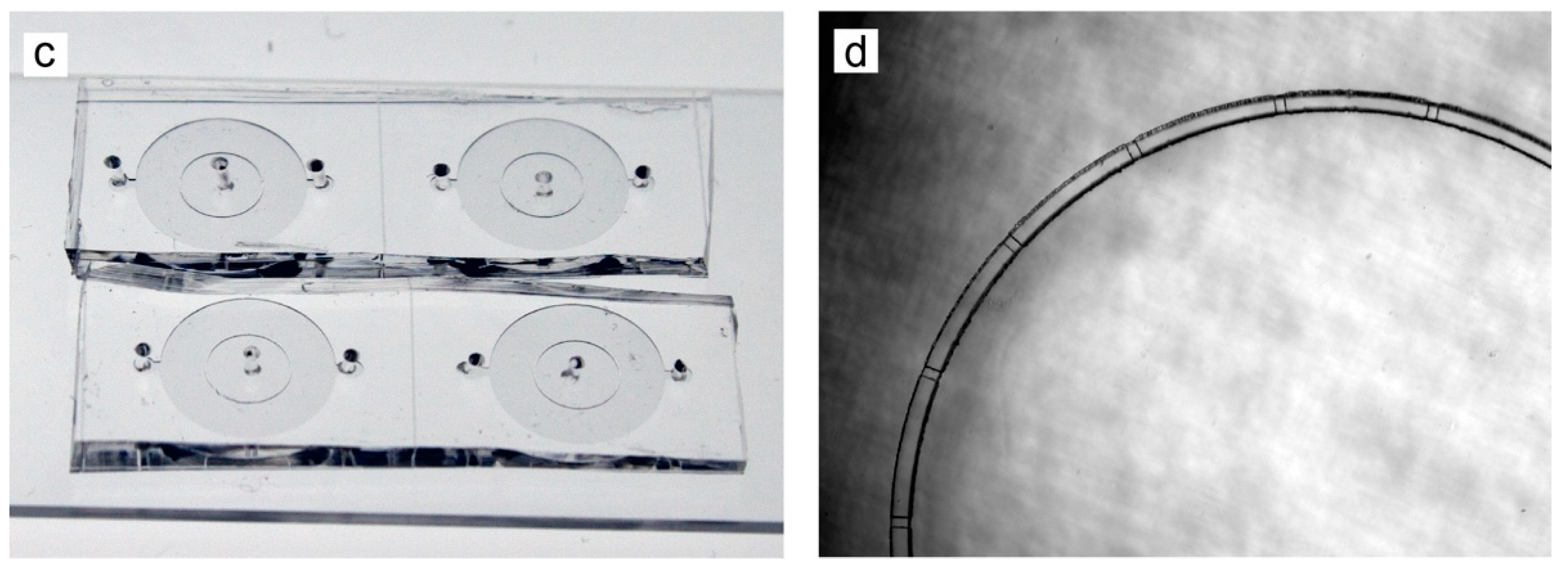 Micromachines 13 01583 g004b 550