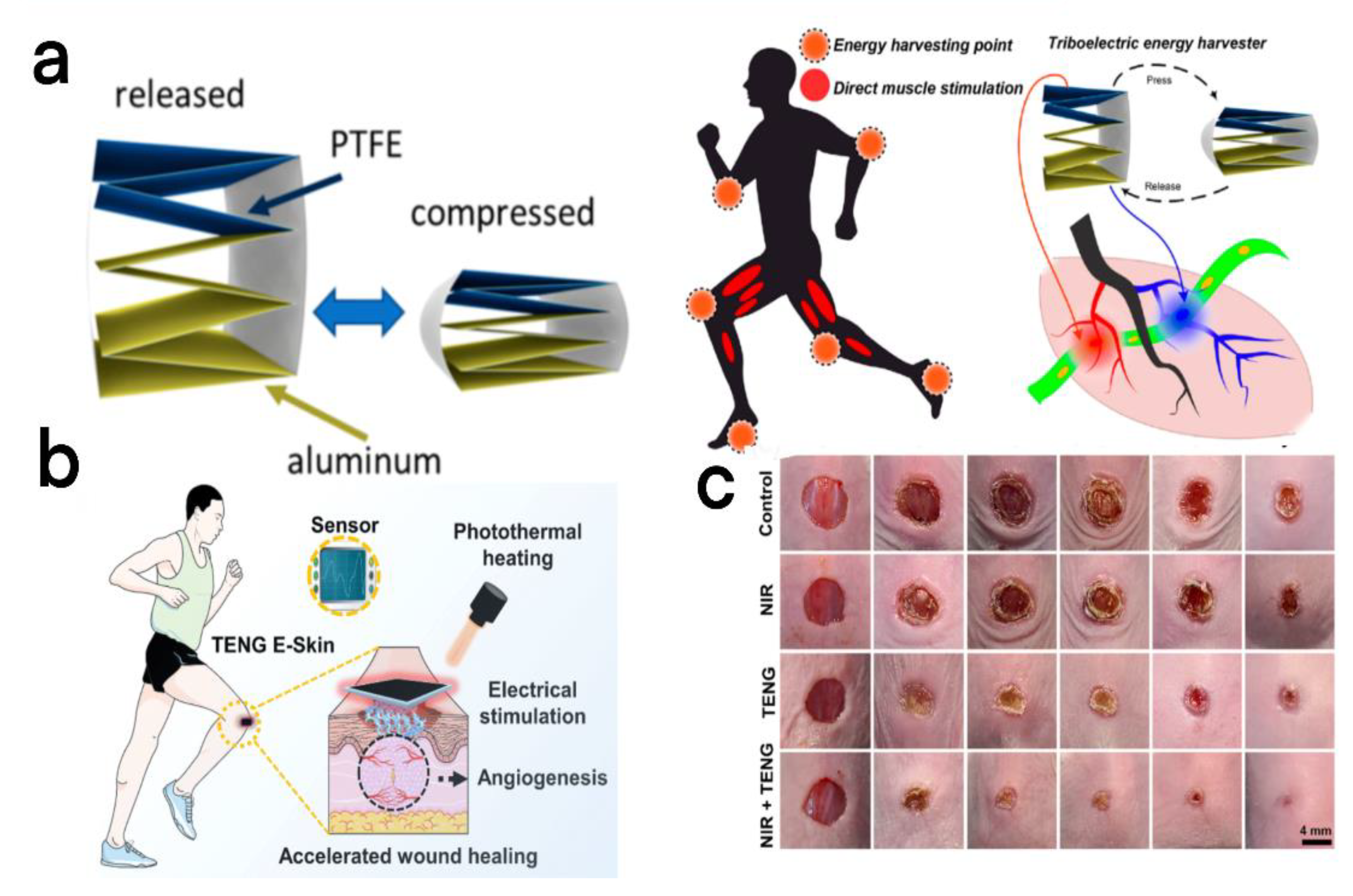 Micromachines 13 01586 g013