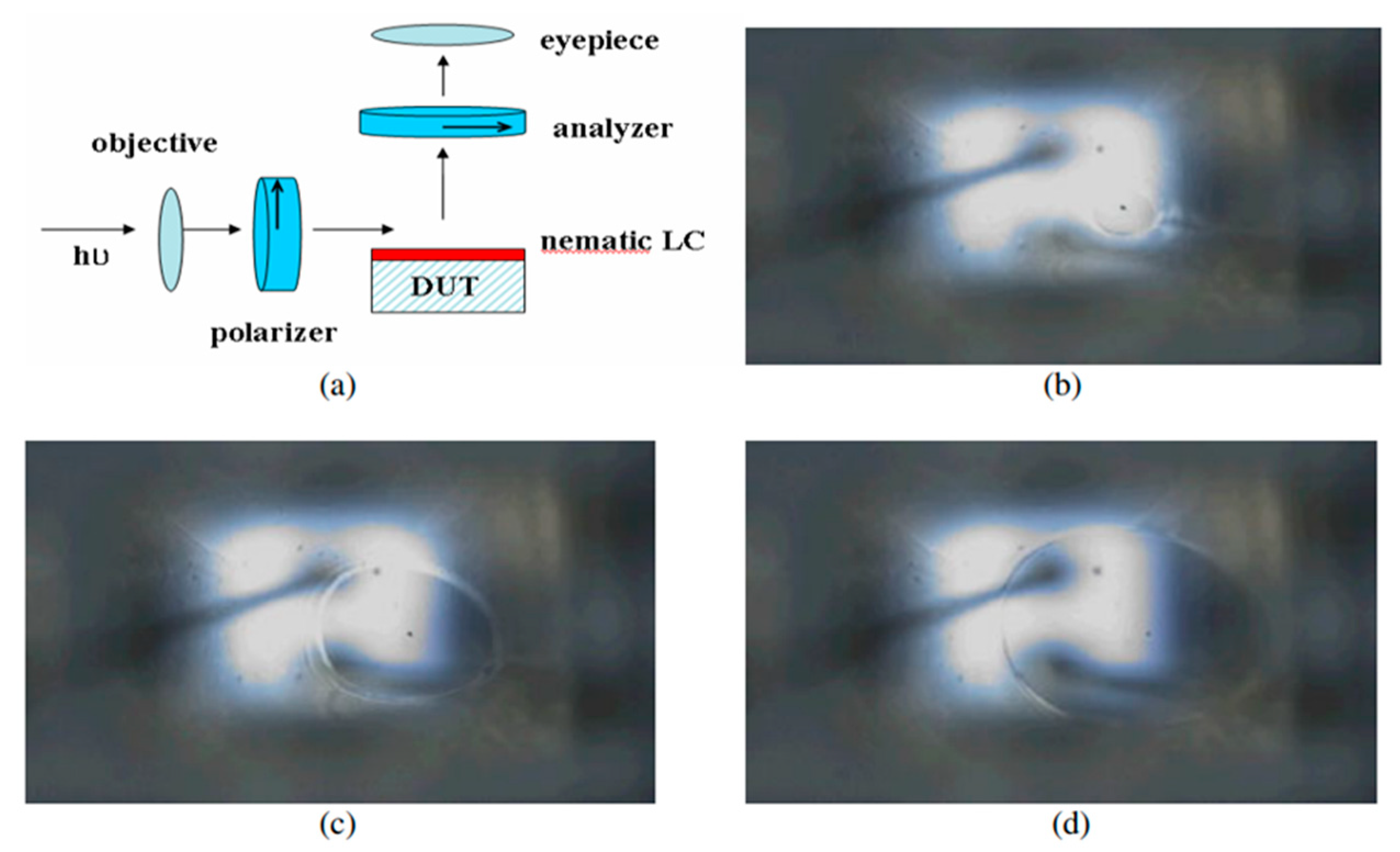 Micromachines 13 01615 g012