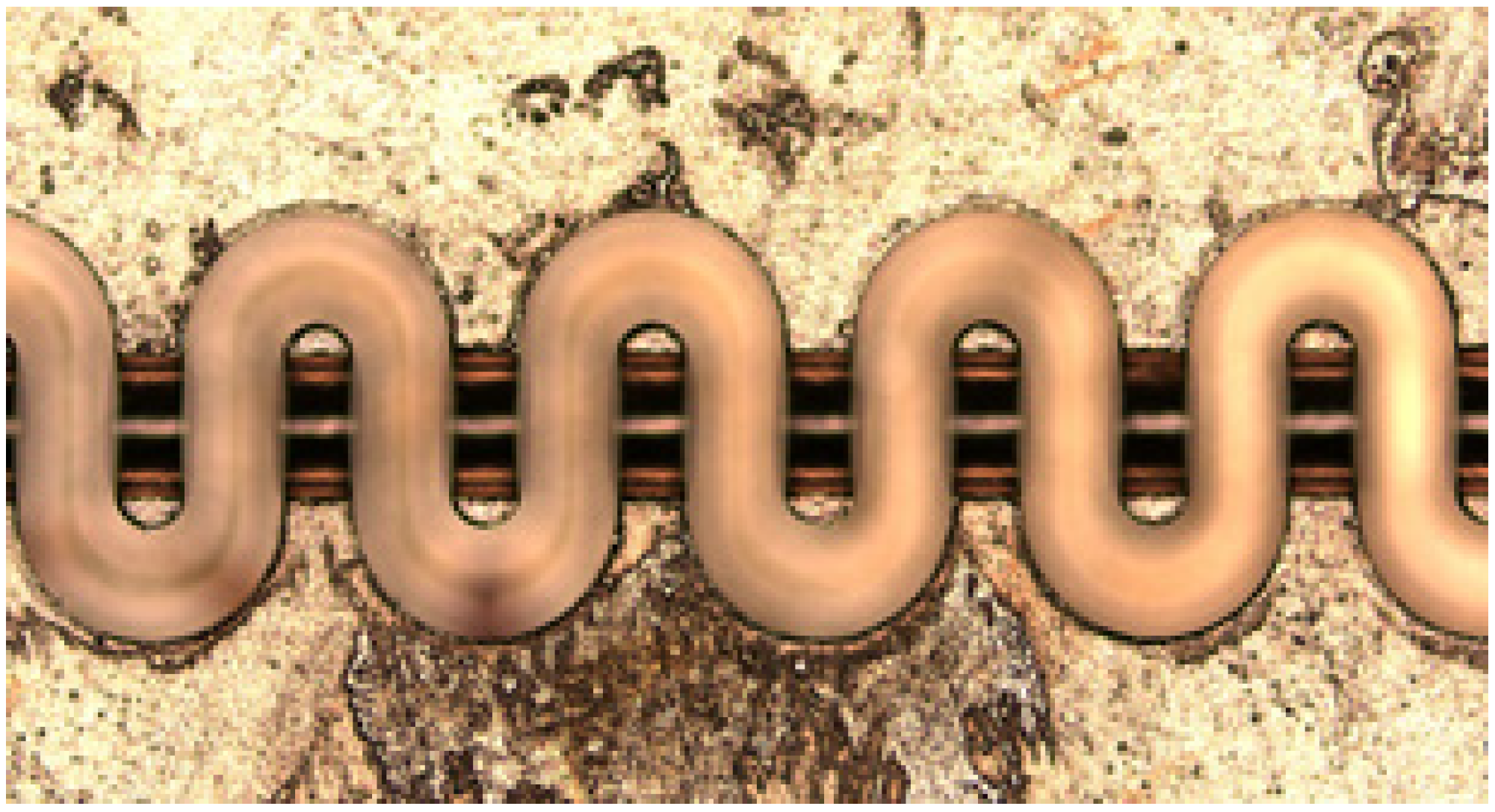 Micromachines 13 01635 g004