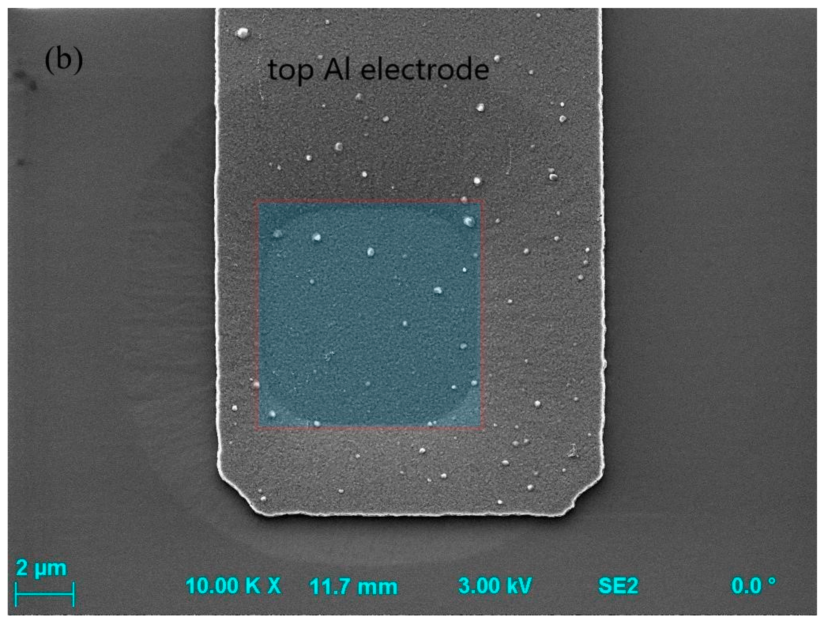 Micromachines 13 01641 g001b