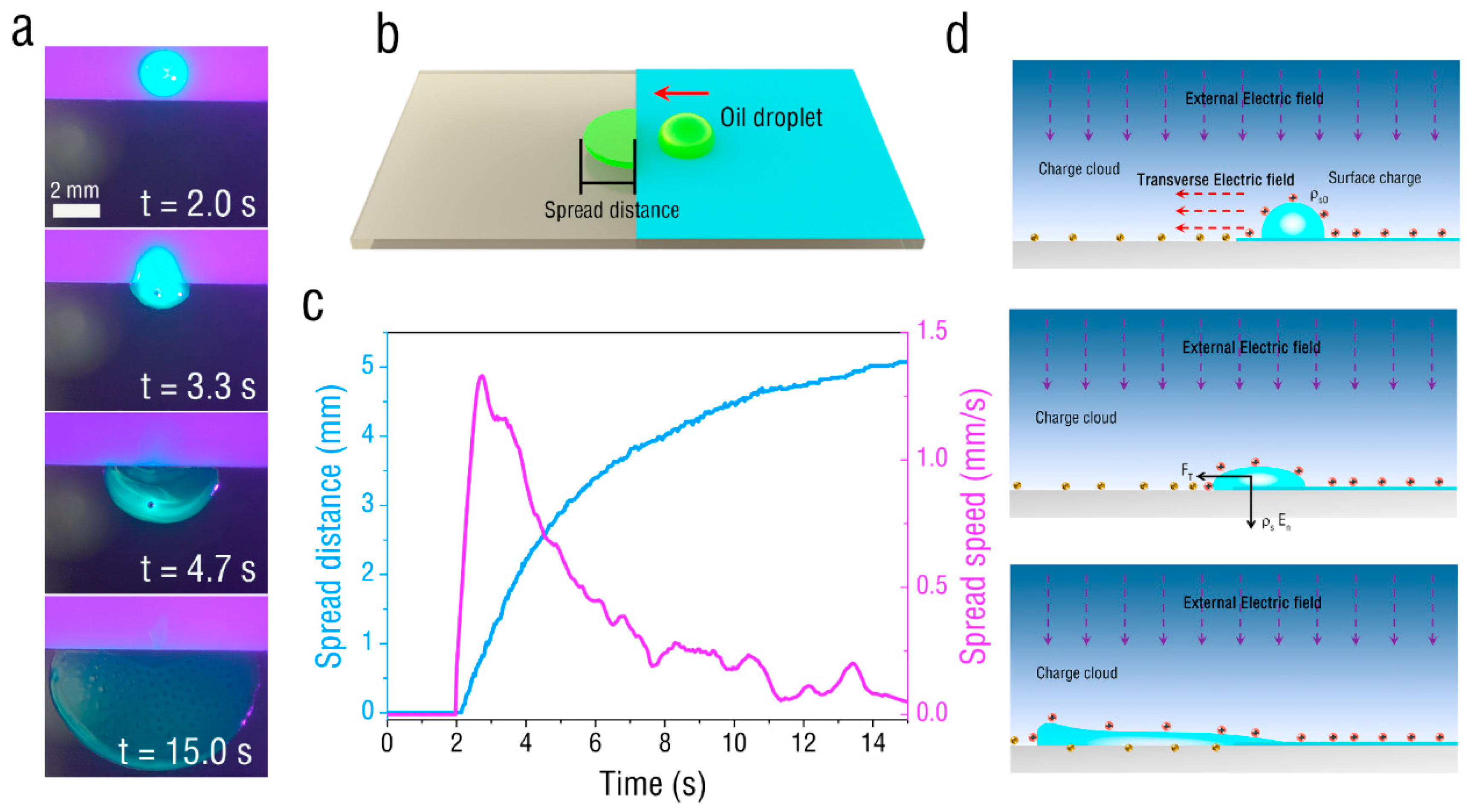 Micromachines 13 01652 g003