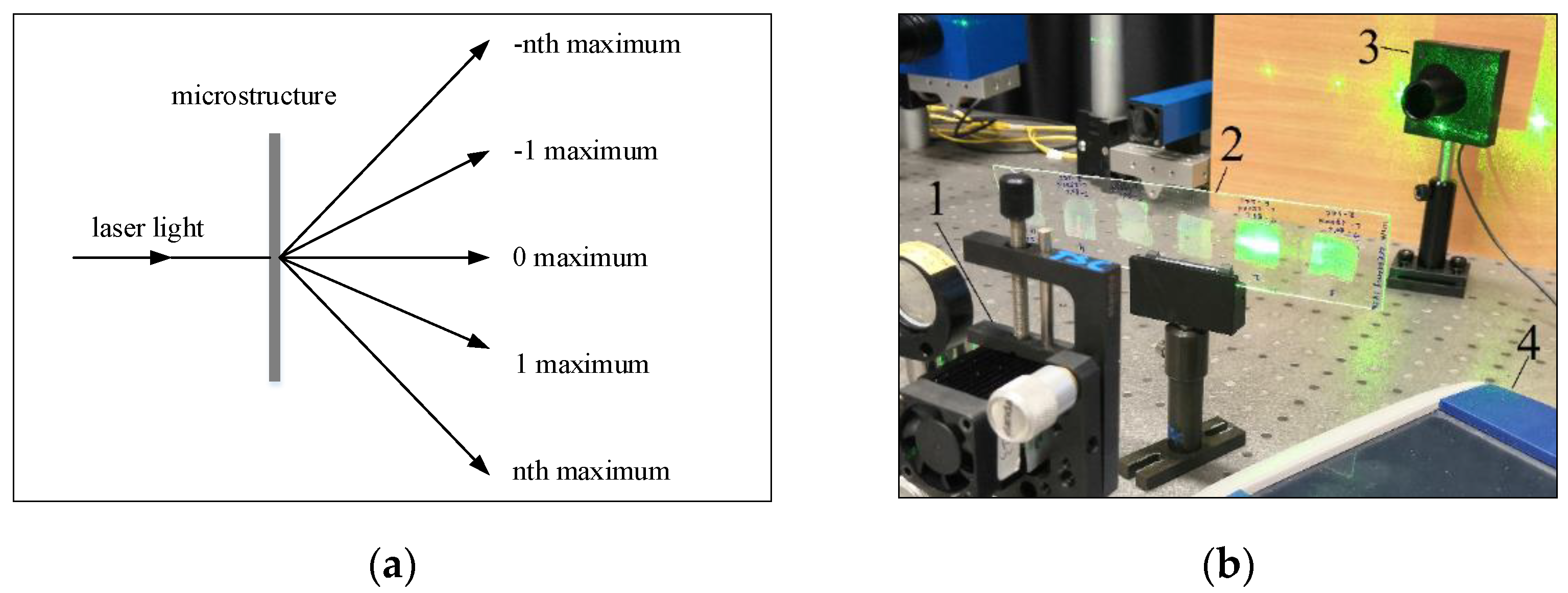 Micromachines 13 01655 g003