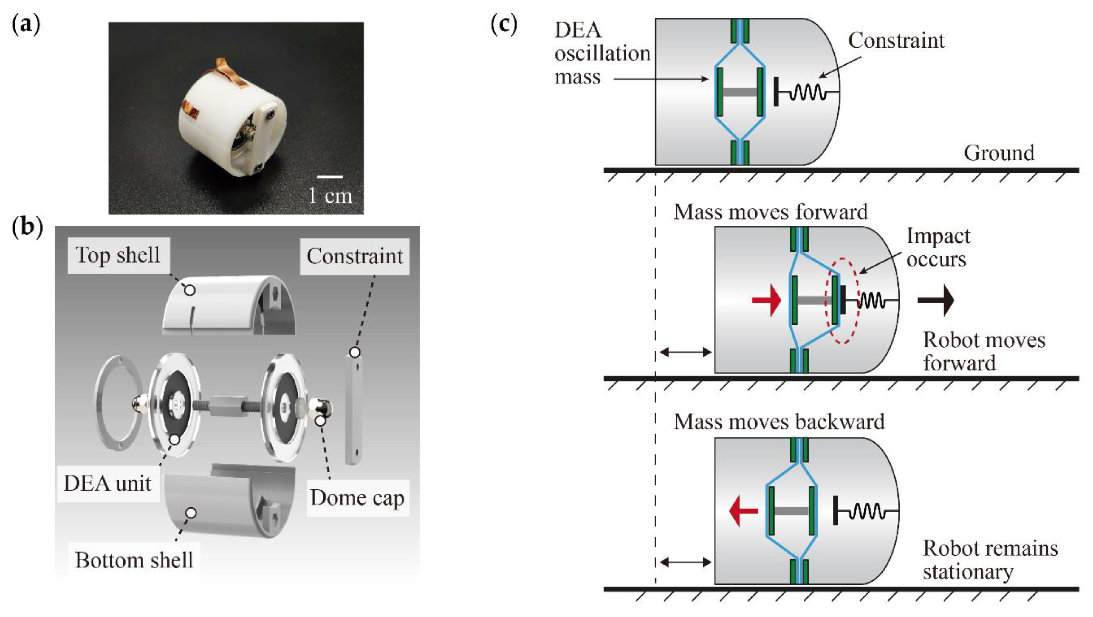 Micromachines 13 01660 g005