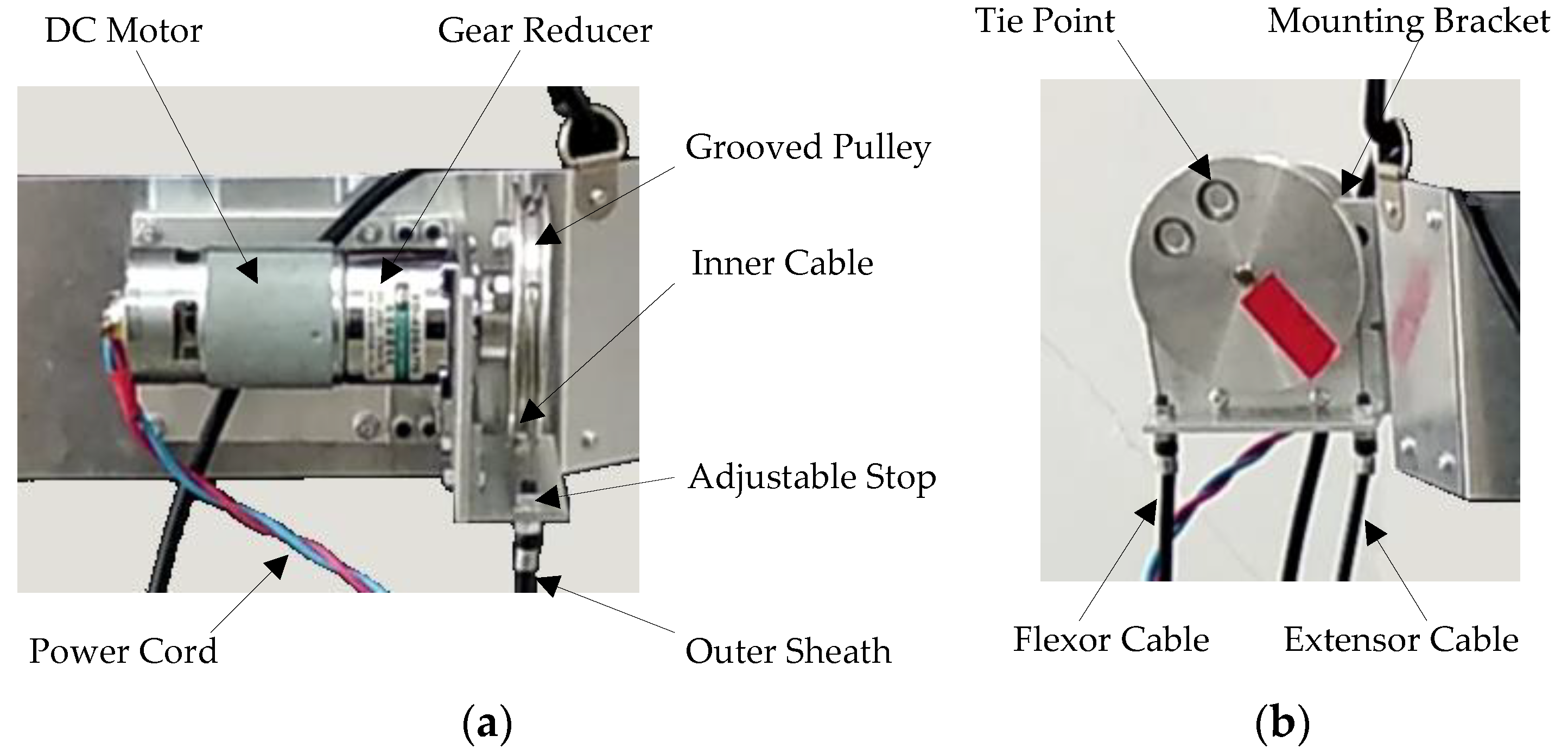Micromachines 13 01674 g002